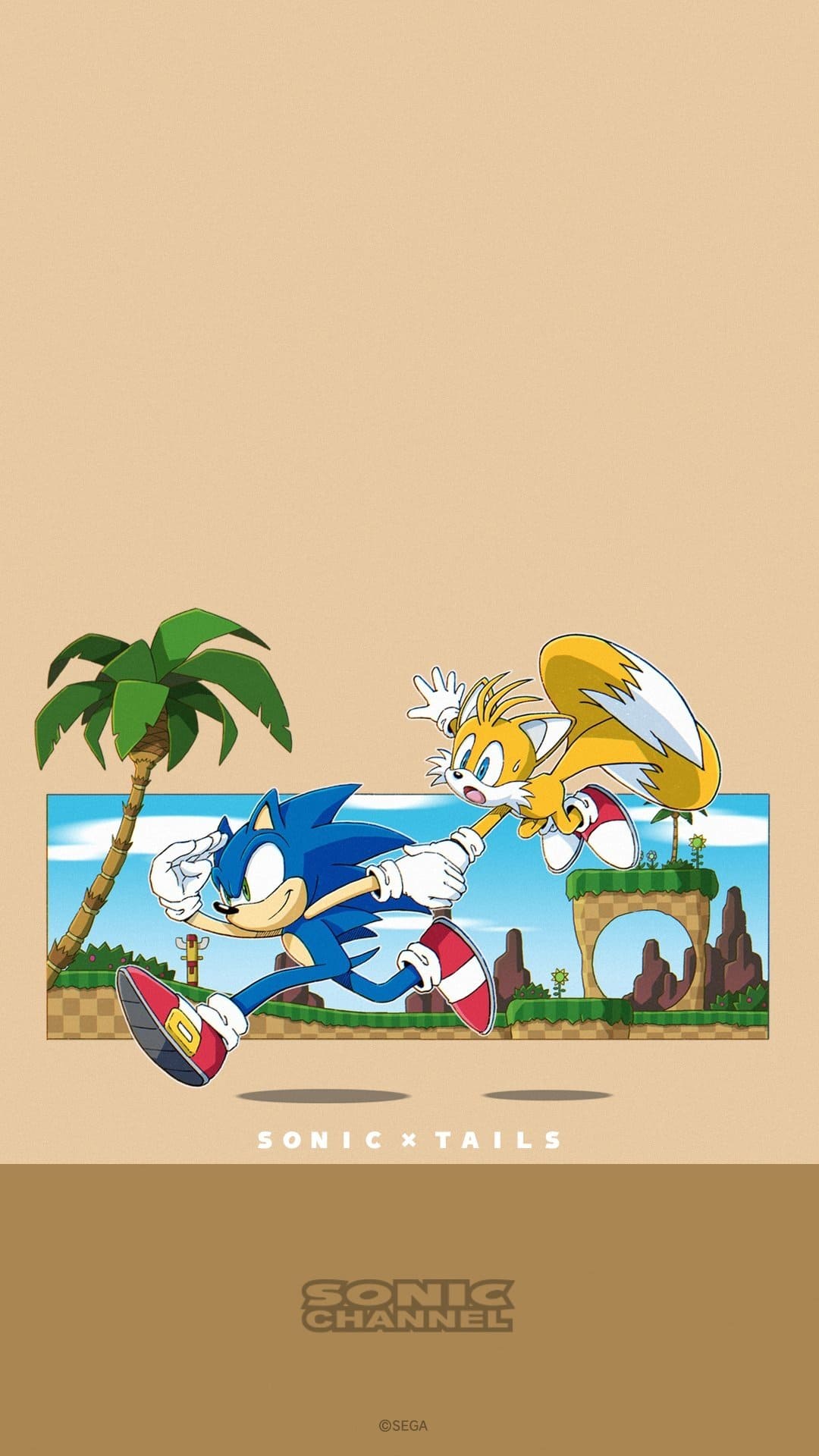 A picture of Sonic and tails running - Sonic