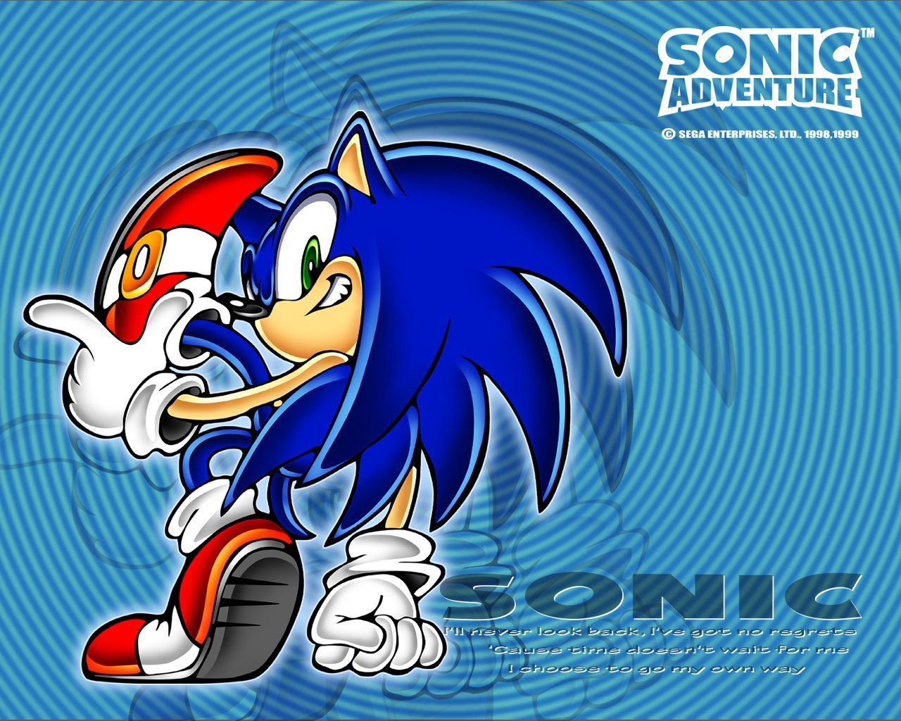 Sonic Adventure Facts Wallpaper From Sonic Adventure International's GD Rom