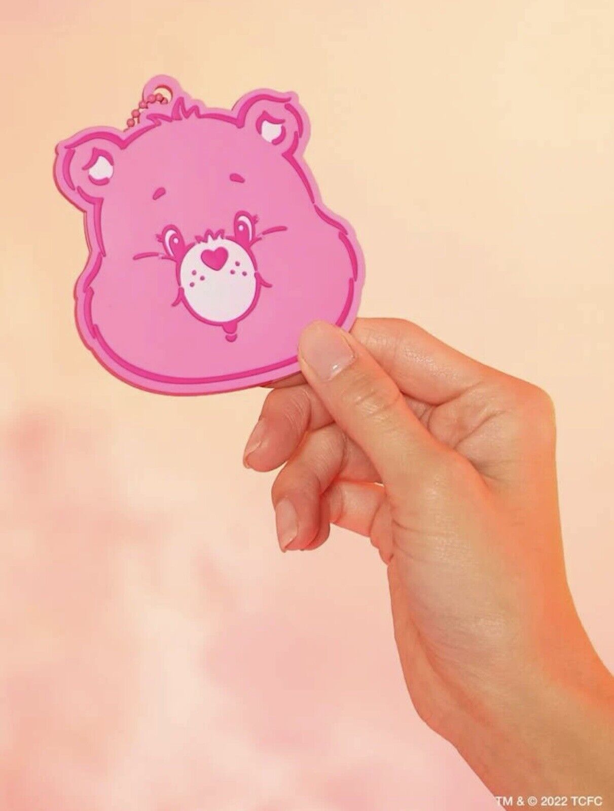 A person holding up an object that looks like teddy bear - Care Bears