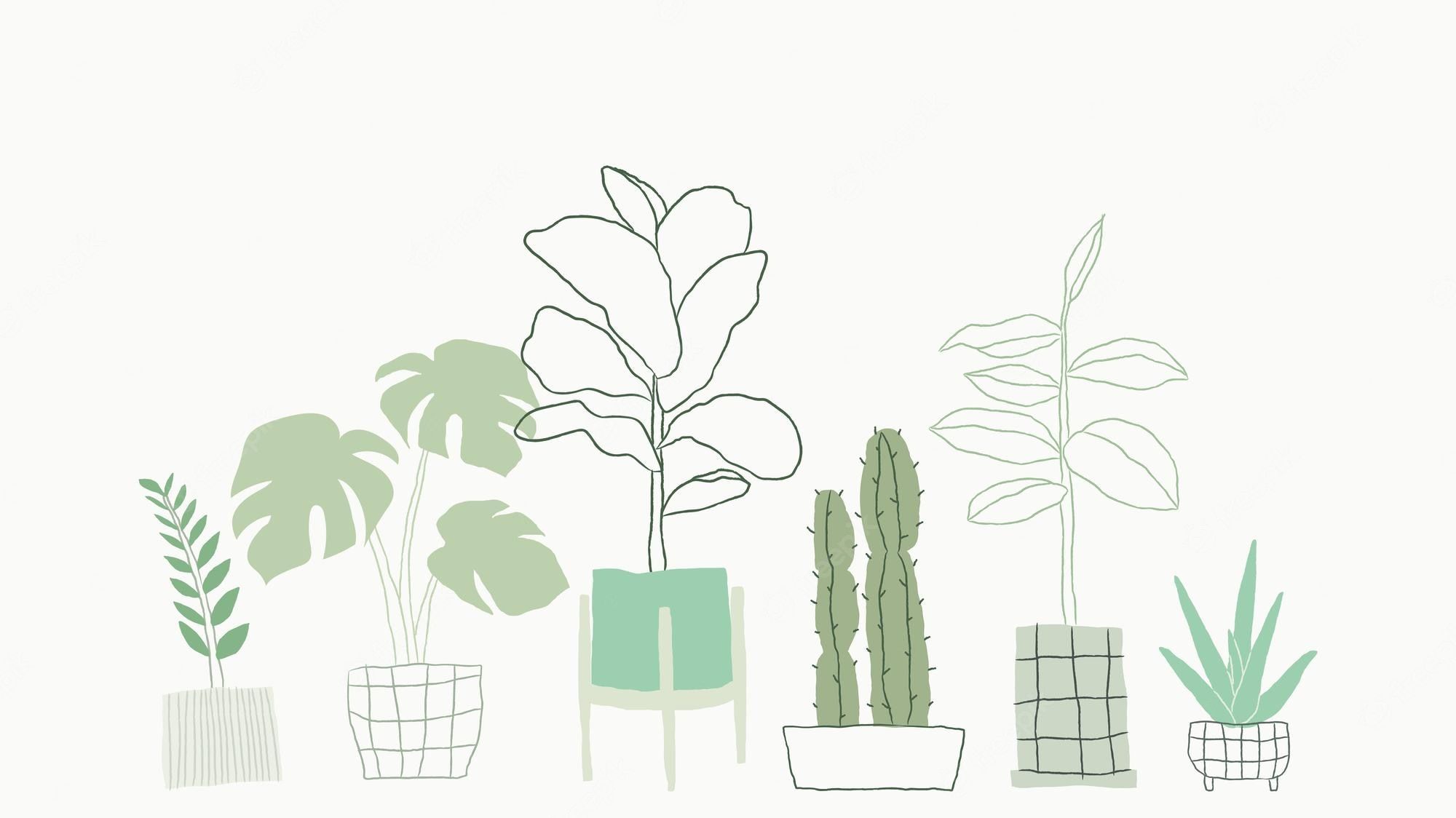 A drawing of several plants in pots - Plants, succulent, simple, doodles, vector