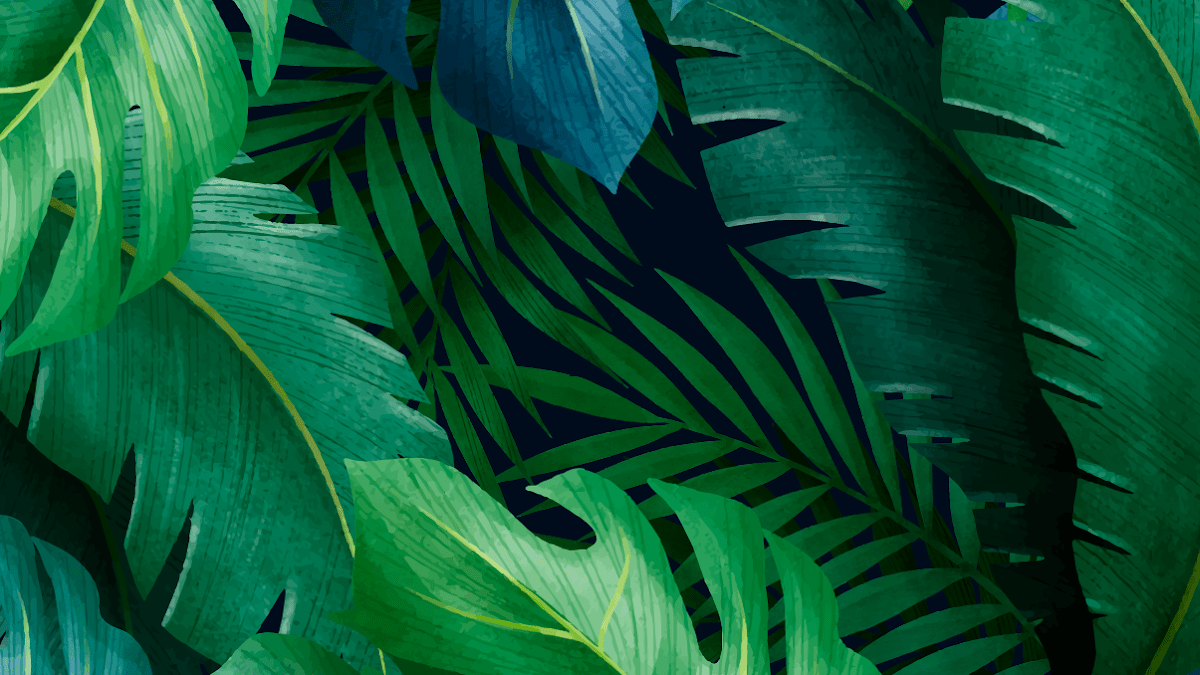A photo of vibrant green leaves in a jungle. - Leaves, tropical