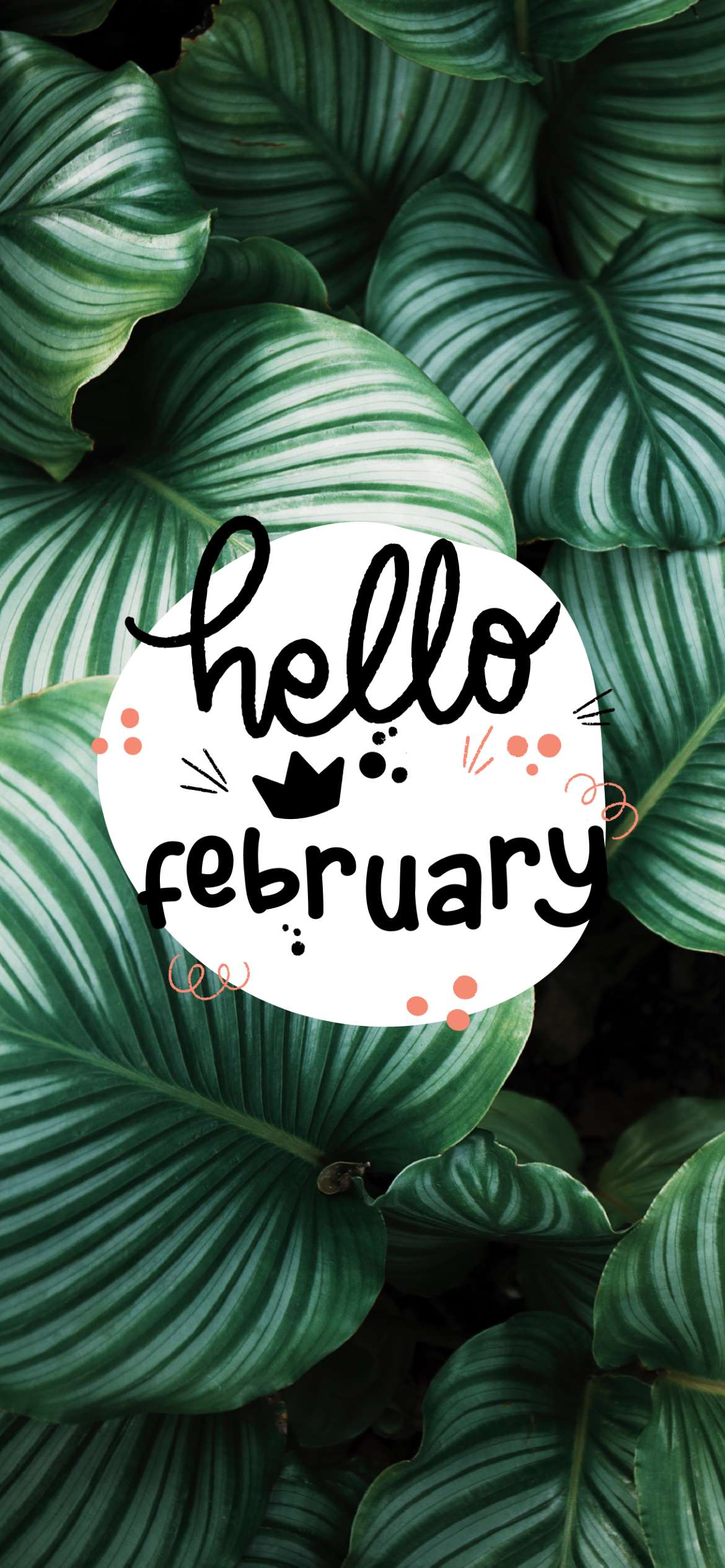 A hello february sign with green leaves - Leaves, botanical, February
