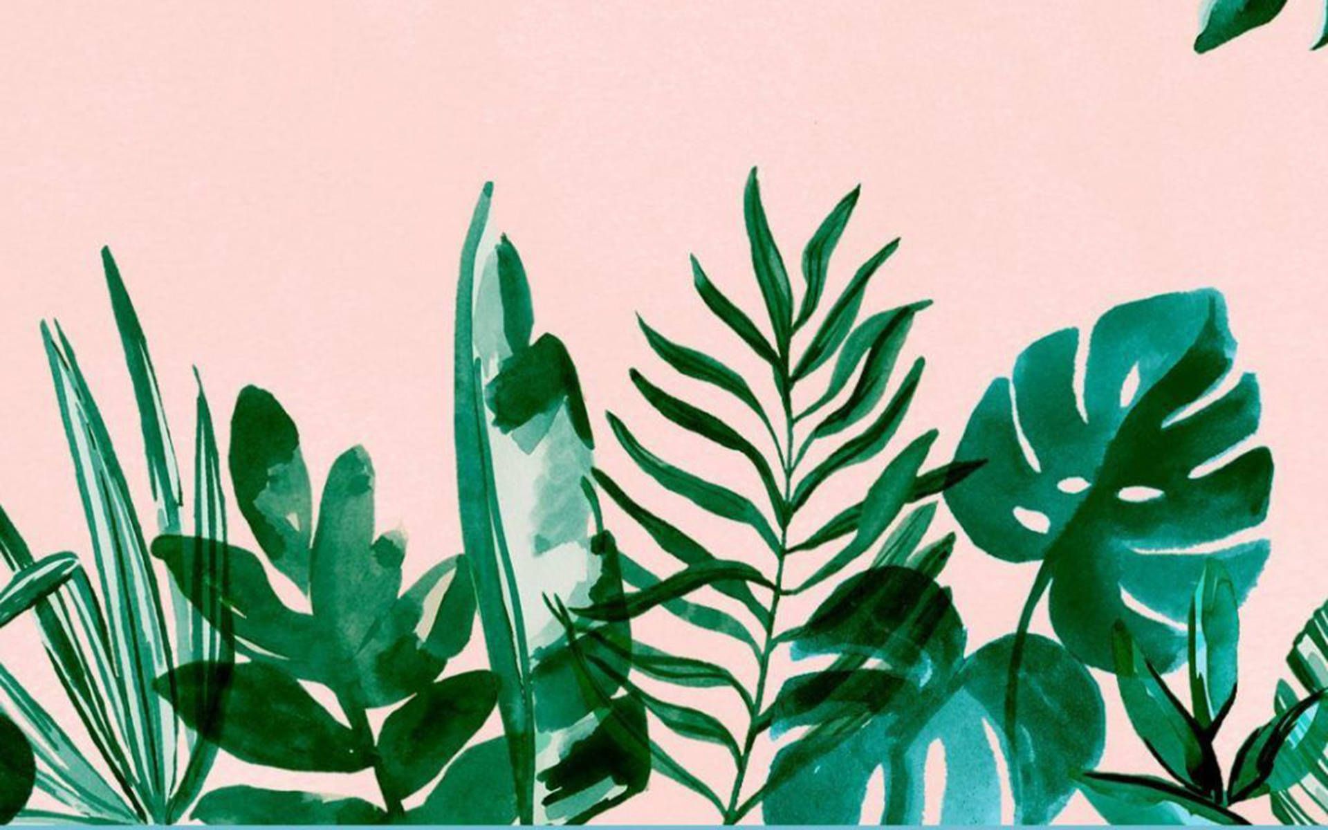 A painting of green leaves on a pink background - Plants, tropical