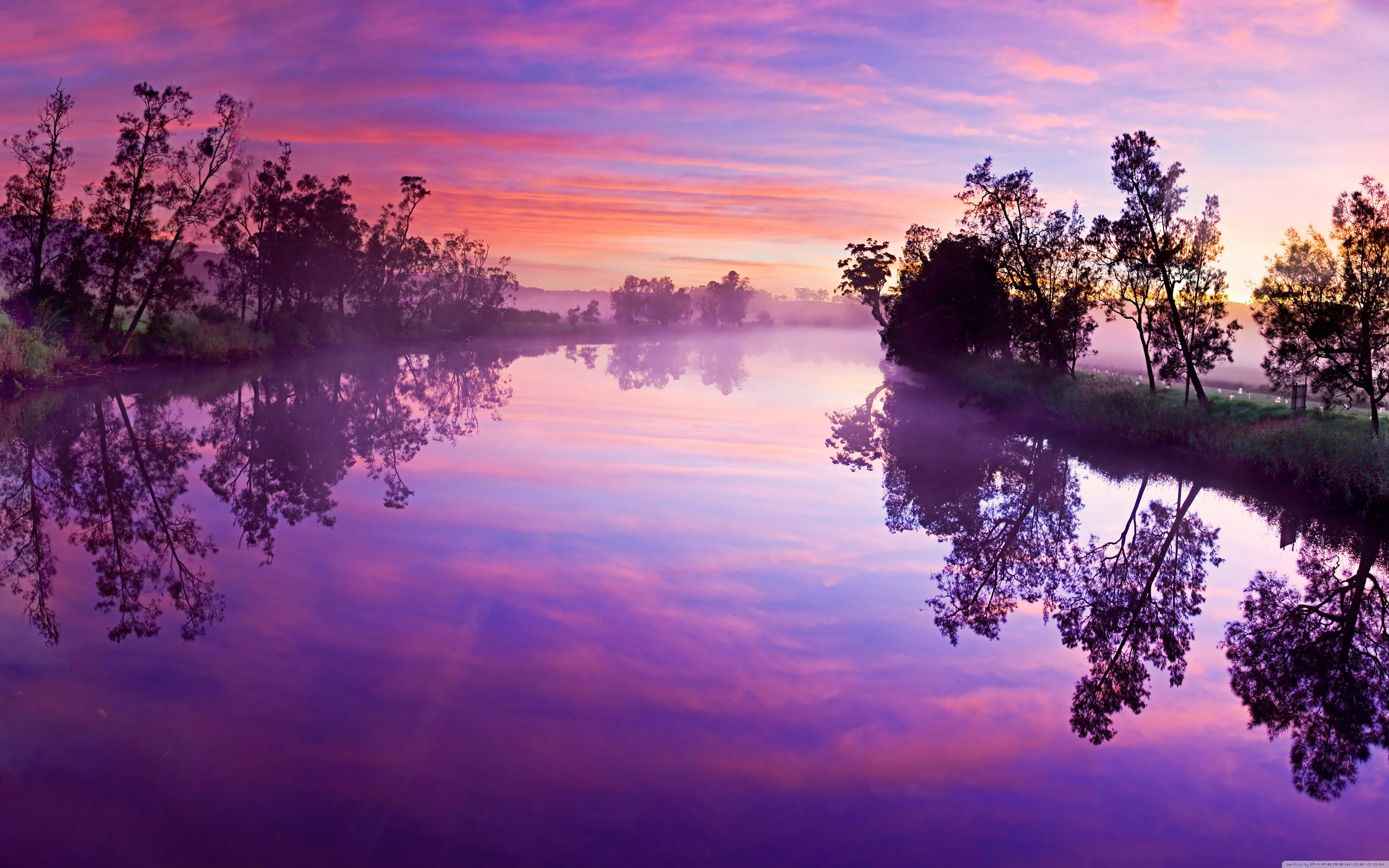 A river with trees and fog in the background - River