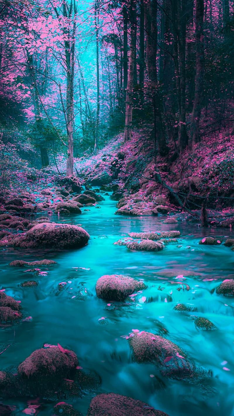 A river in a forest with rocks and trees in blue and purple light - River