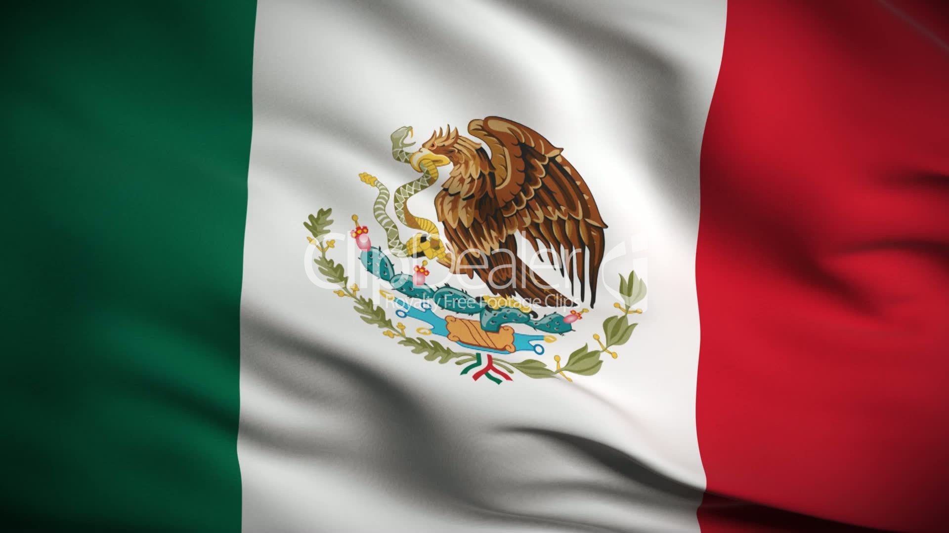 The mexican flag is waving in a wind - Mexico