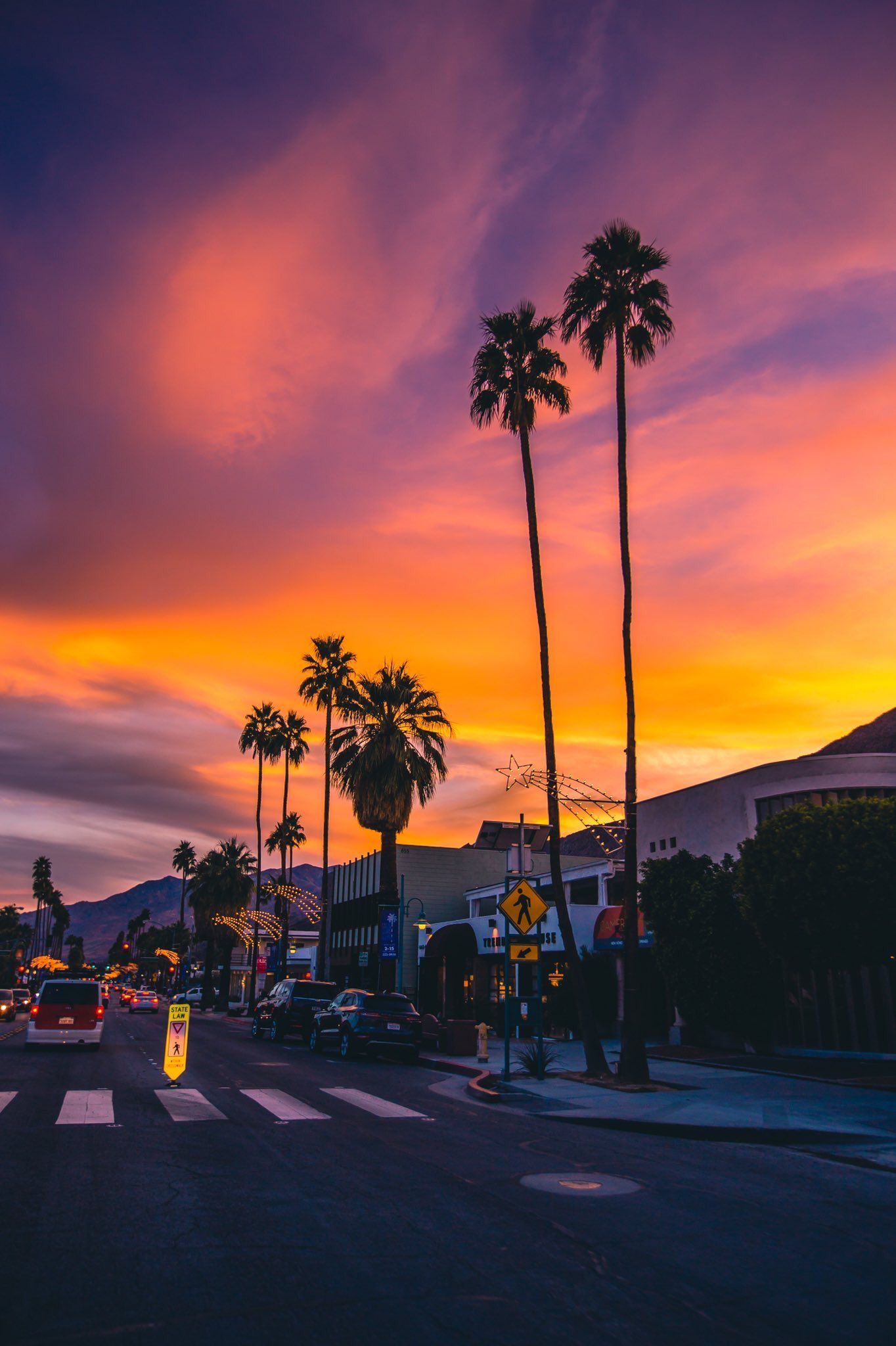 A street with palm trees and cars at sunset - Sunset, photography, California