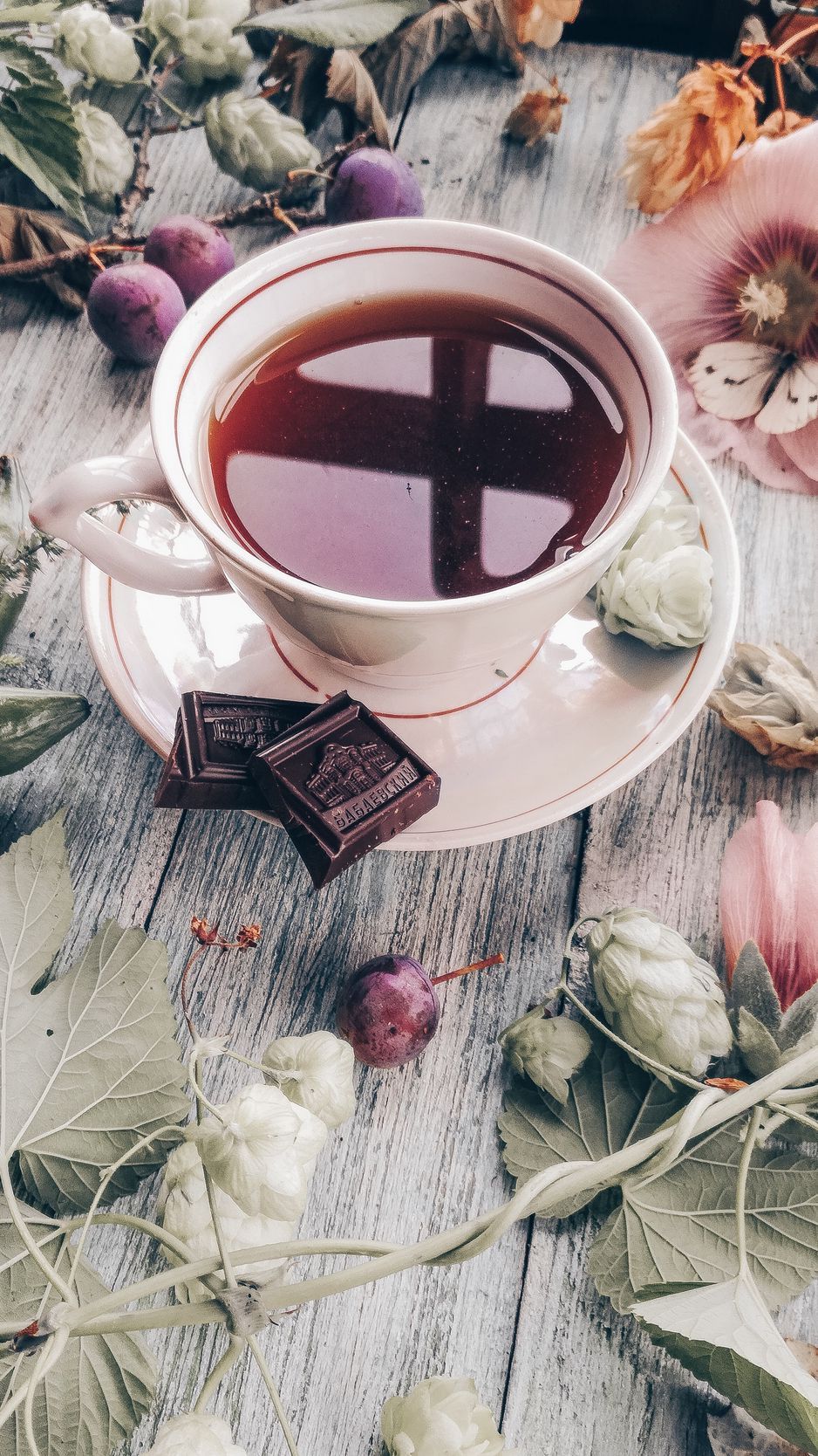 A cup of tea with chocolate and flowers - Chocolate