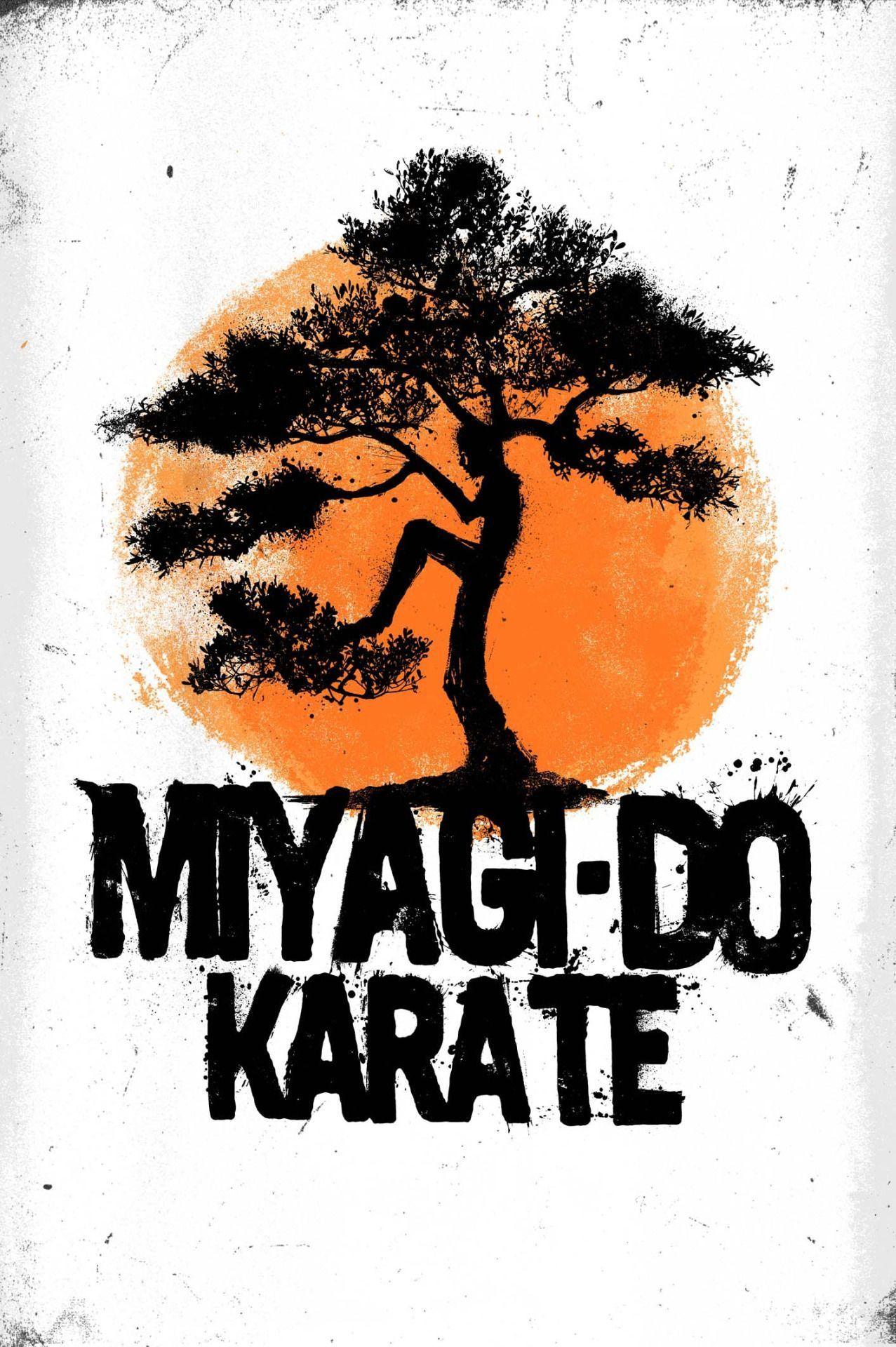 Miyagi Do Wallpaper Free Miyagi Do Background