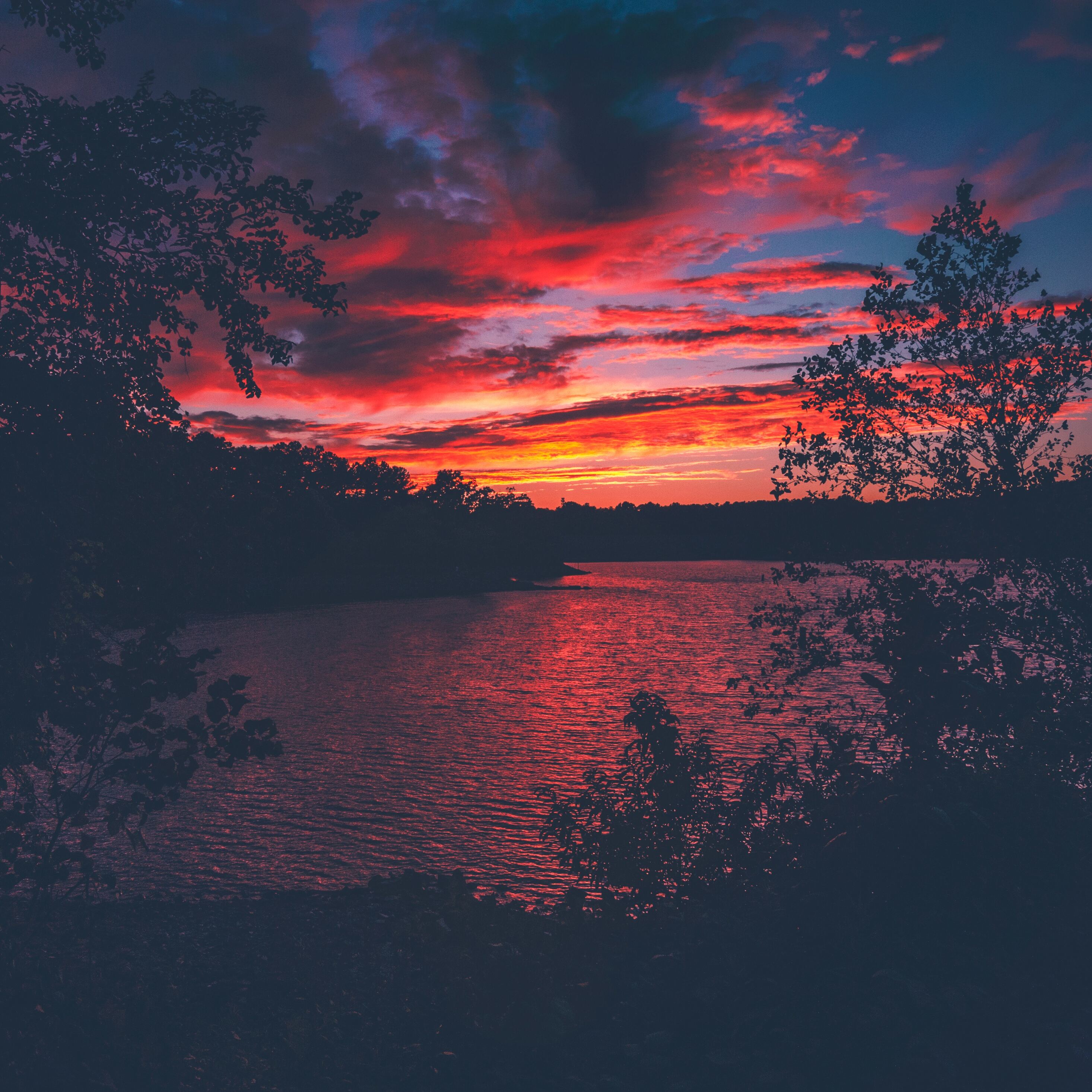 Red Evening Sunset Lake View From Forest Woods iPad Pro Retina Display HD 4k Wallpaper, Image, Background, Photo and Picture