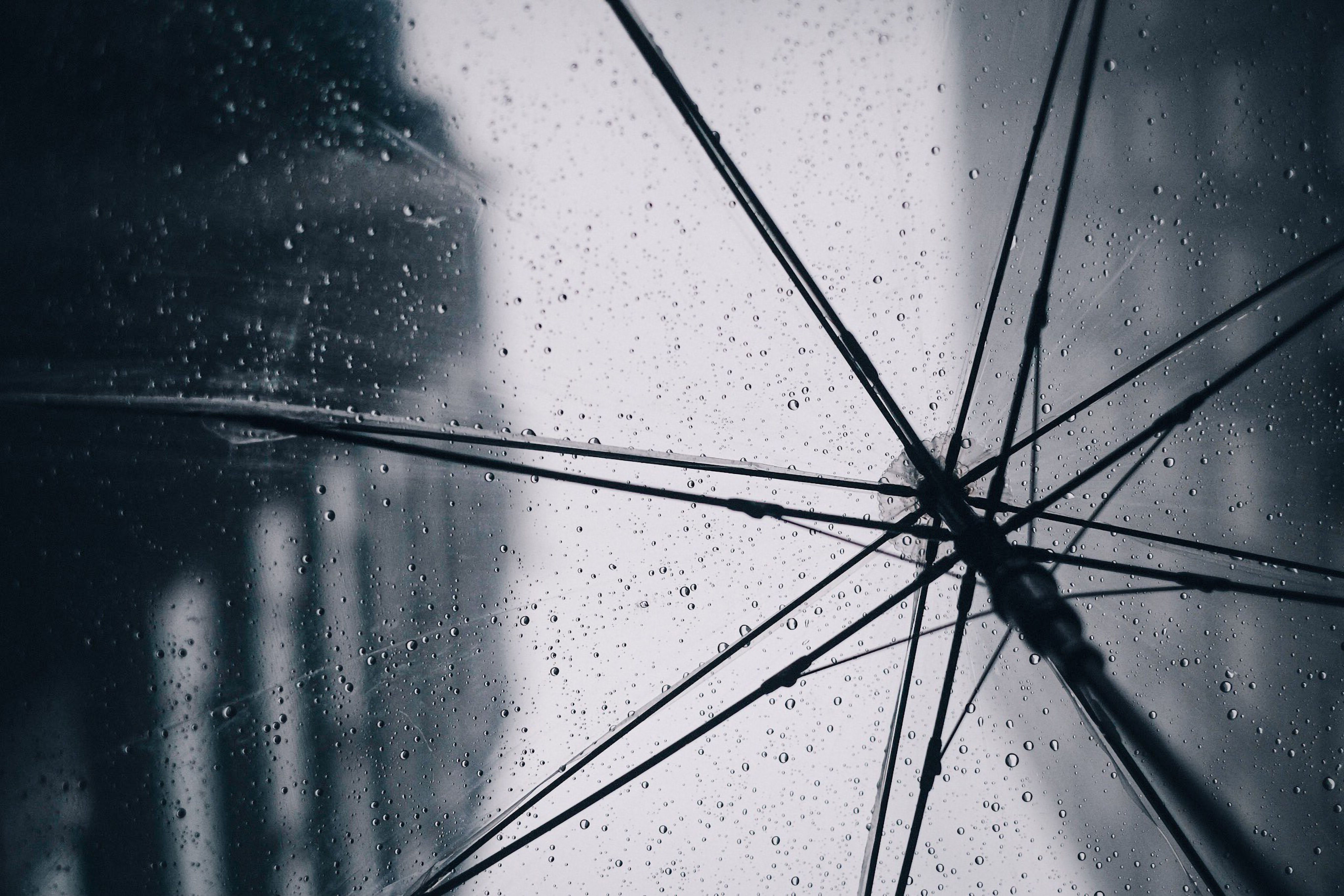 A black and white photo of an umbrella with raindrops on it - Rain
