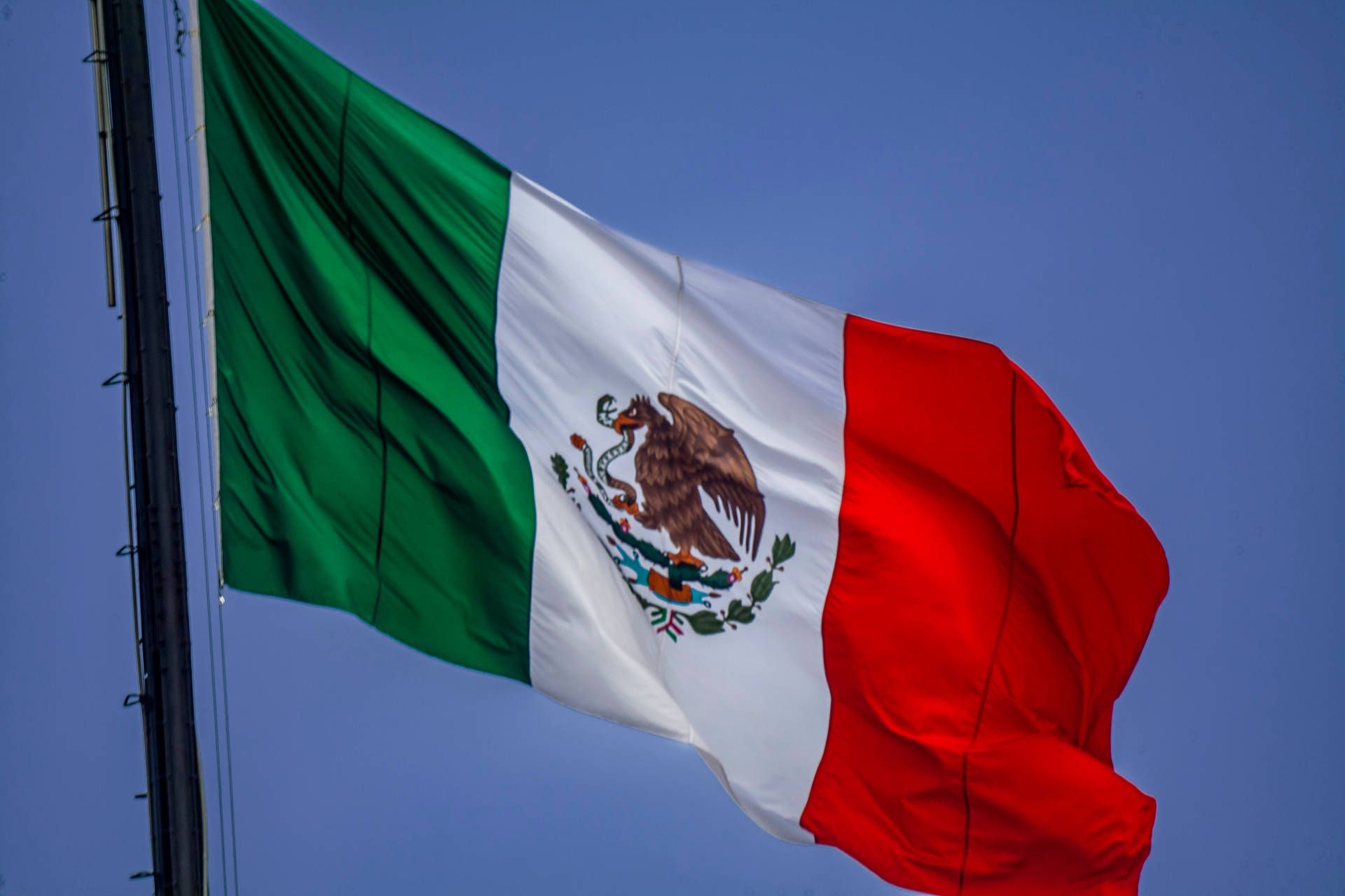 Mexican flag flying in the wind - Mexico