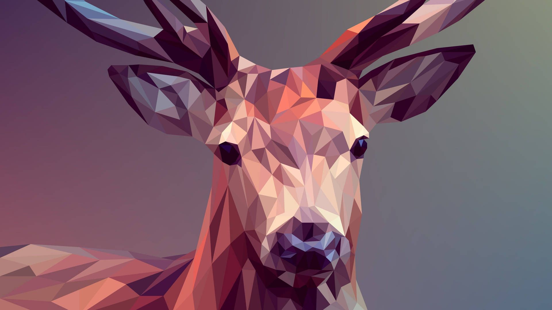 A low poly deer wallpaper for your computer desktop. - Low poly