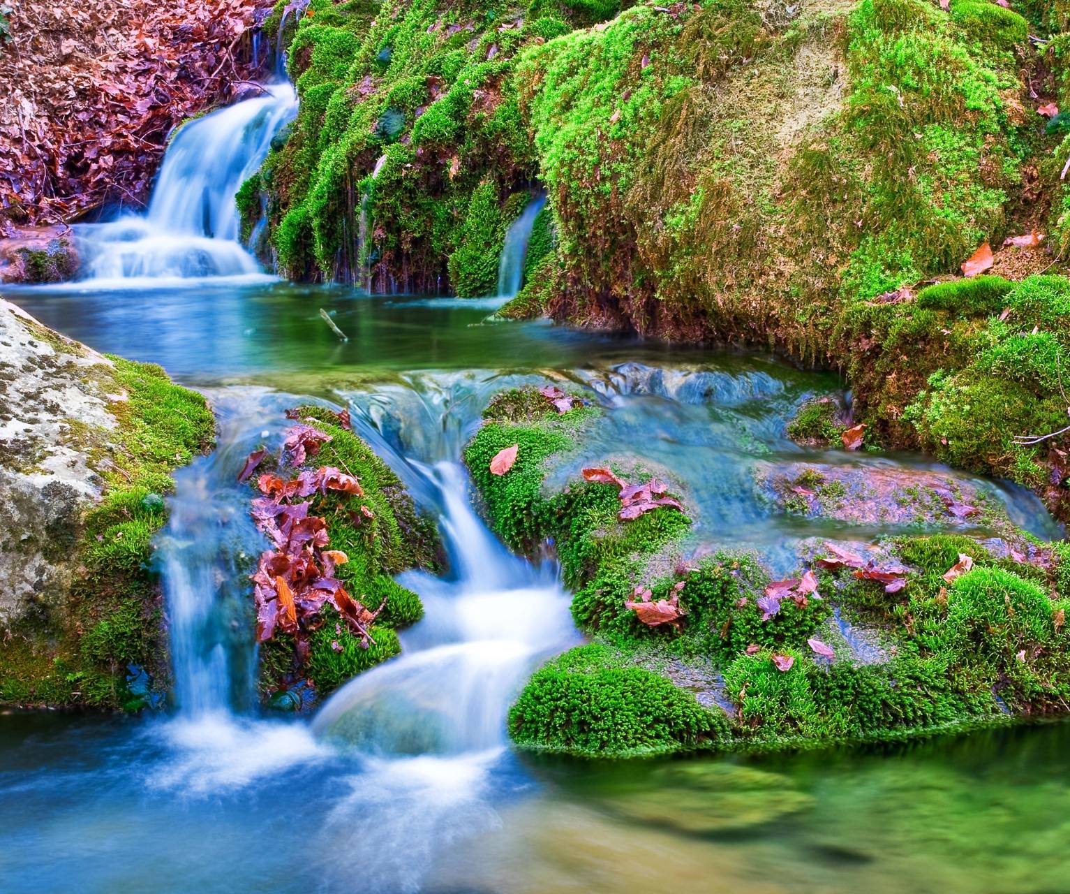 A stream flows over mossy rocks in the forest. - Waterfall