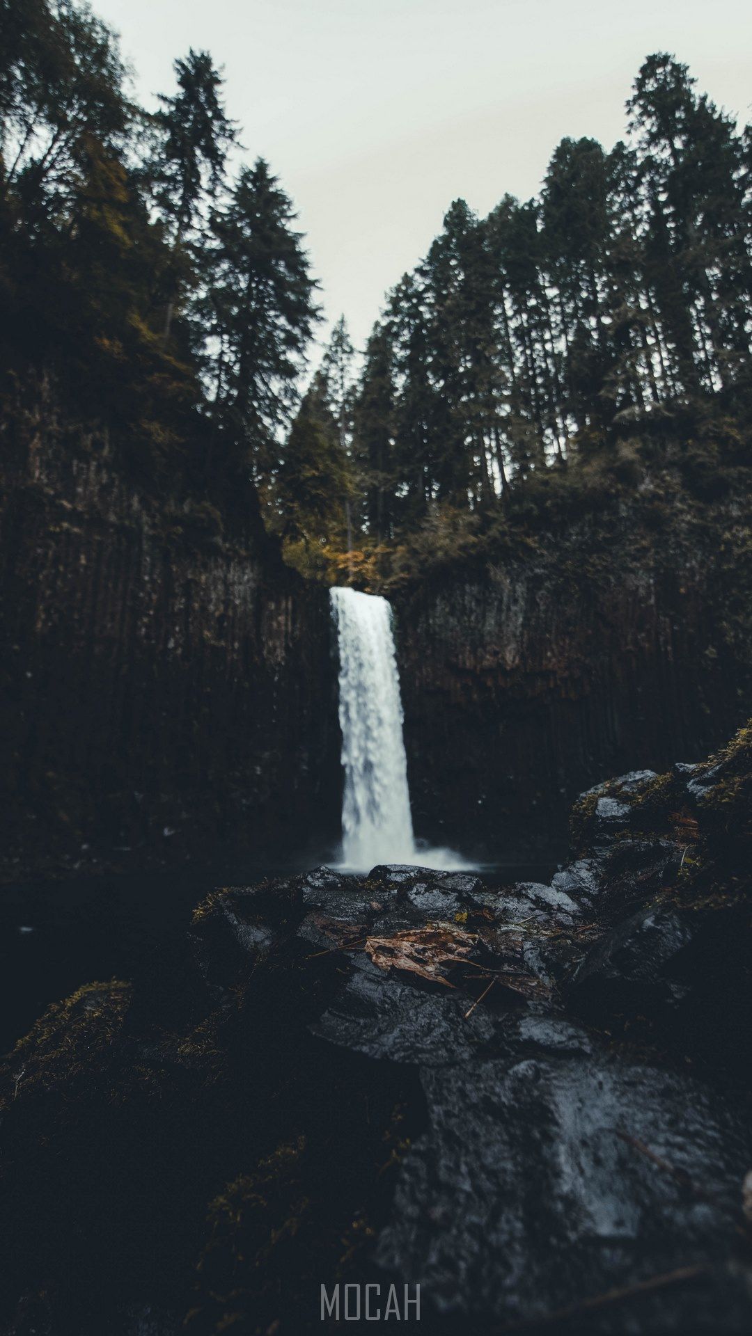 A waterfall surrounded by trees in the forest. - Waterfall