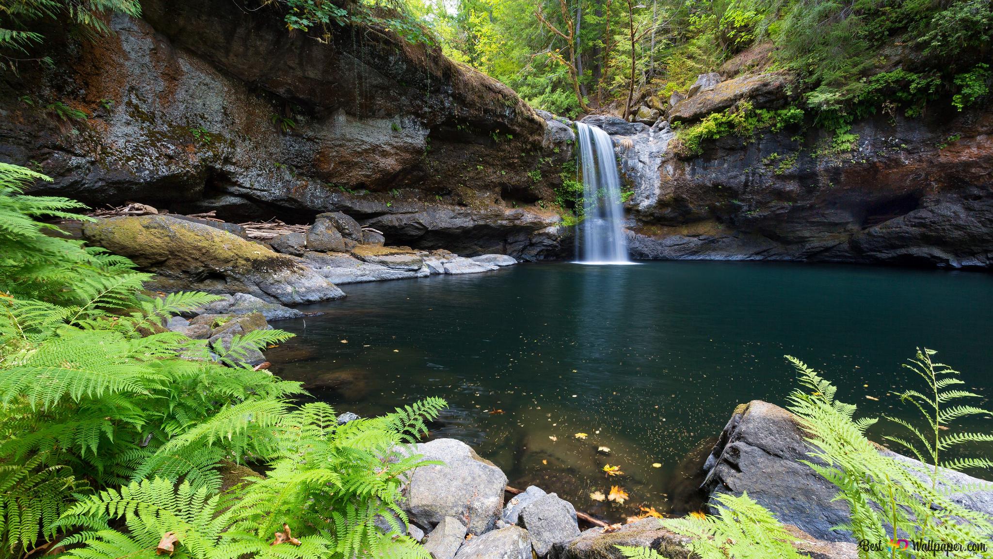 A waterfall tumbles into a deep green pool surrounded by ferns and rocks. - Waterfall