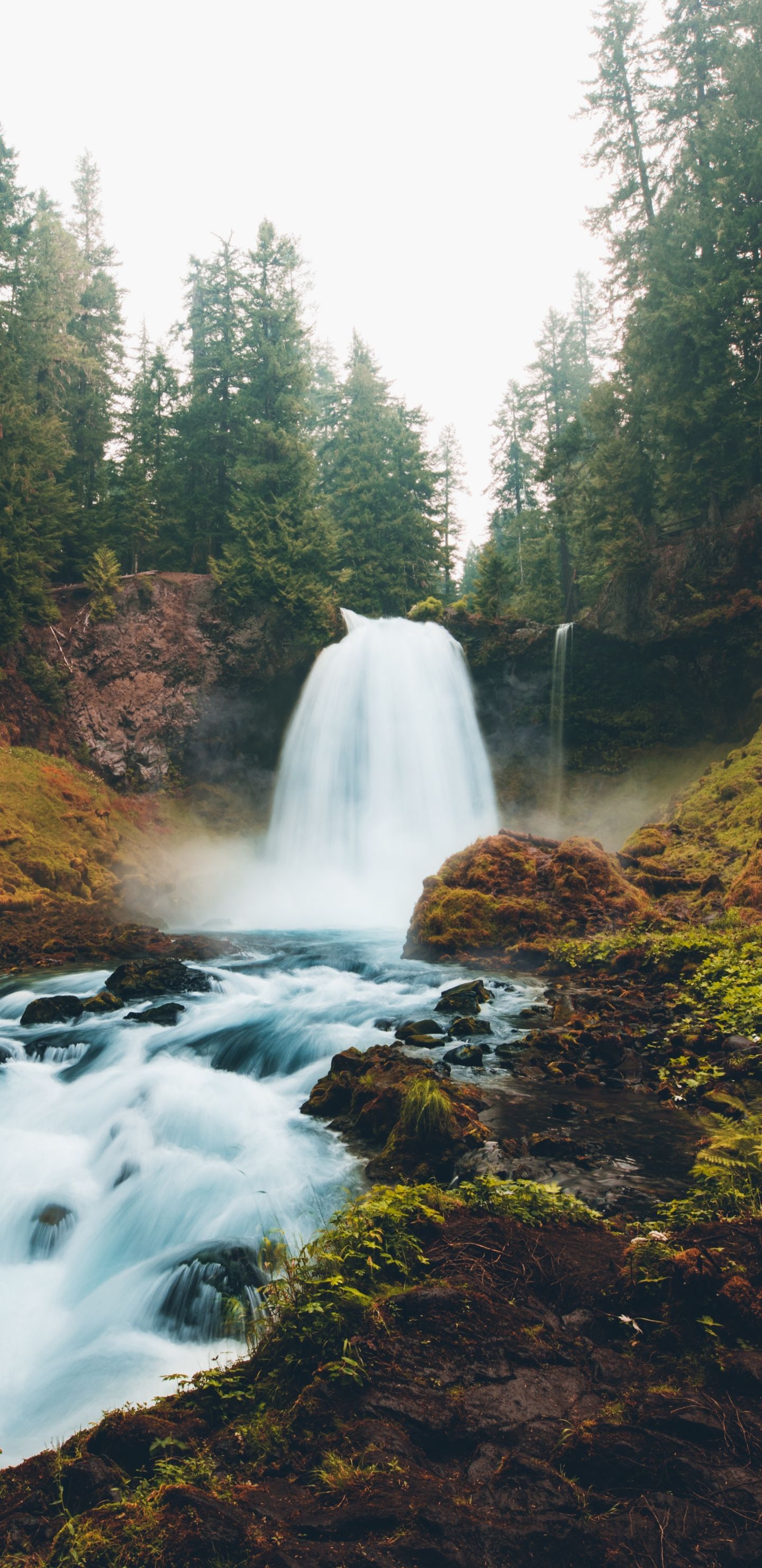 Waterfall surrounded by trees and greenery - Waterfall