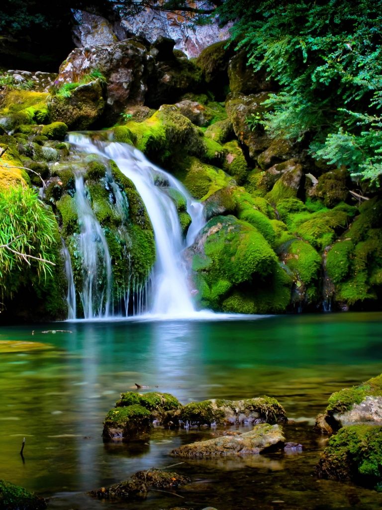 A waterfall surrounded by mossy rocks and greenery. - Waterfall