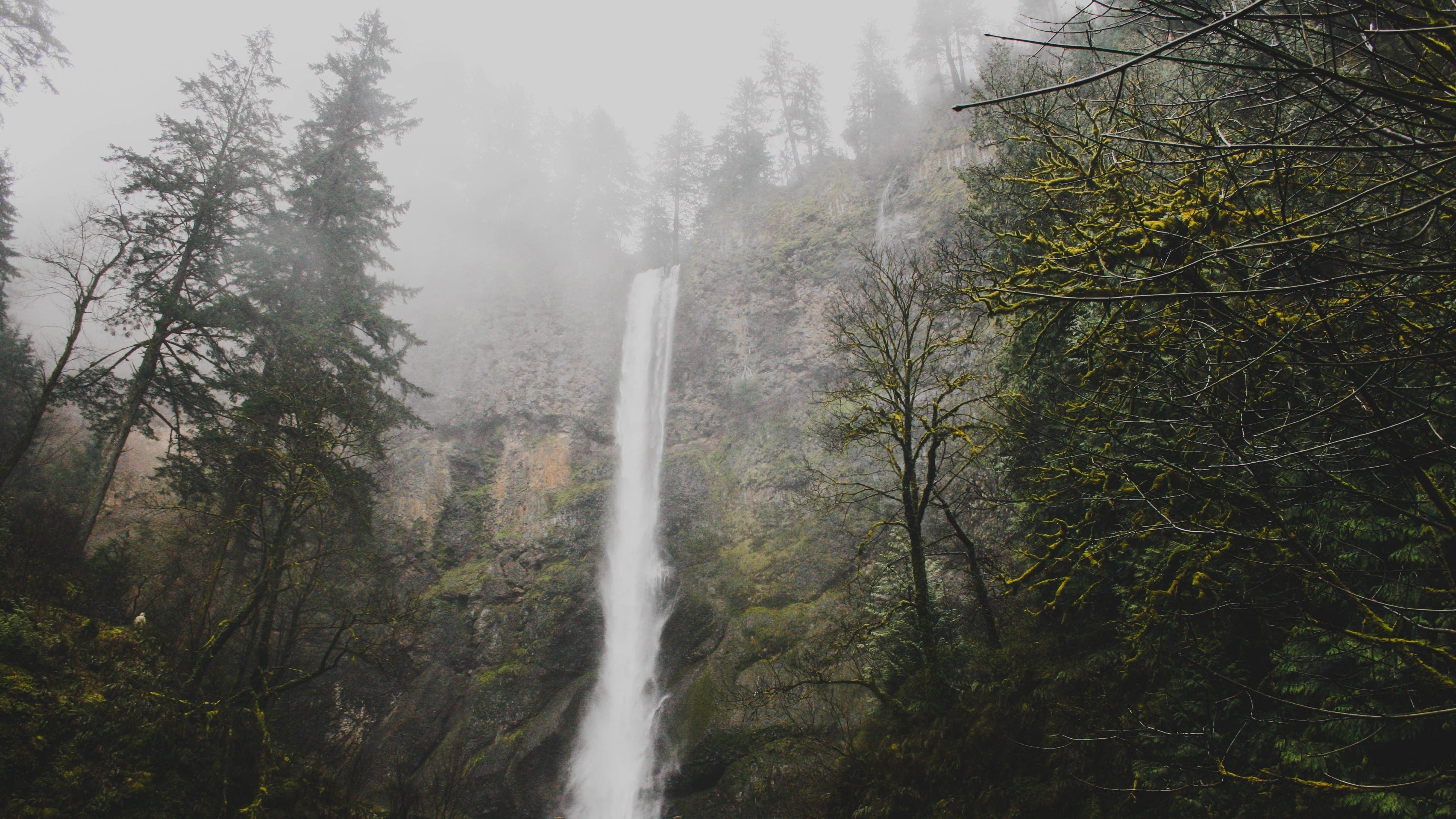 A waterfall is flowing down into the woods - Waterfall