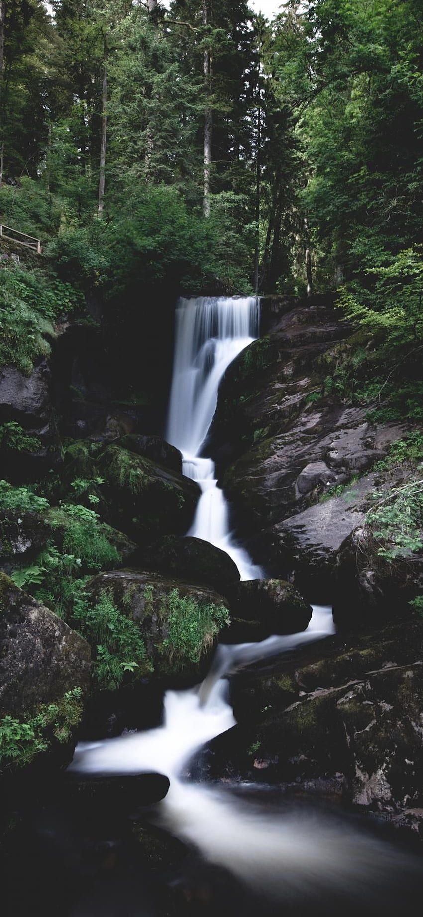 A waterfall surrounded by greenery in the forest. - Waterfall