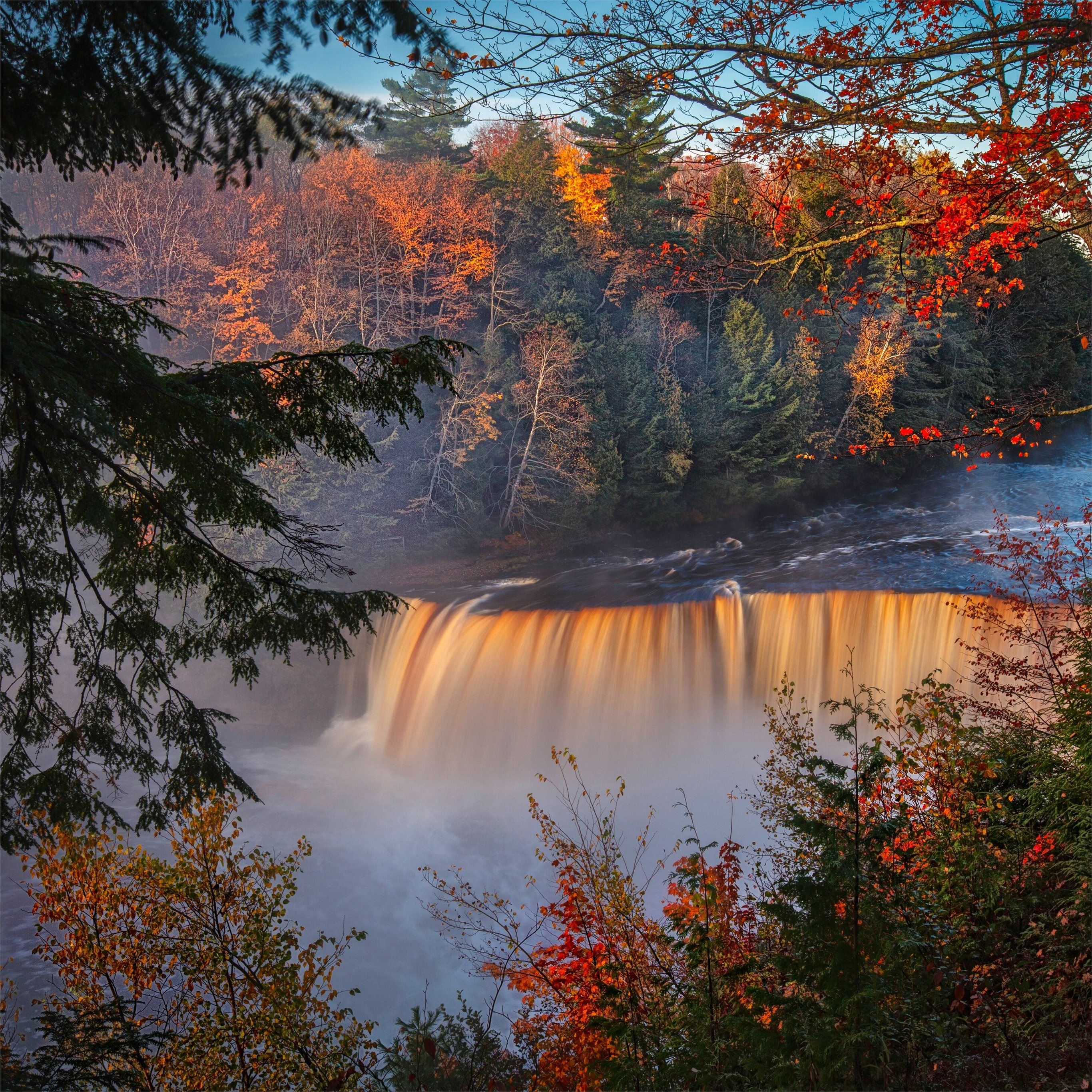 A waterfall is surrounded by trees and leaves - Waterfall