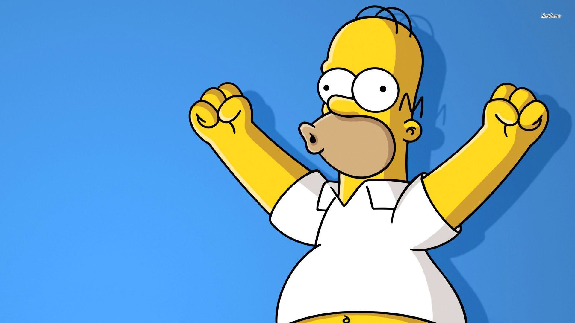 Homer Simpson Wallpaper - Homer Simpson