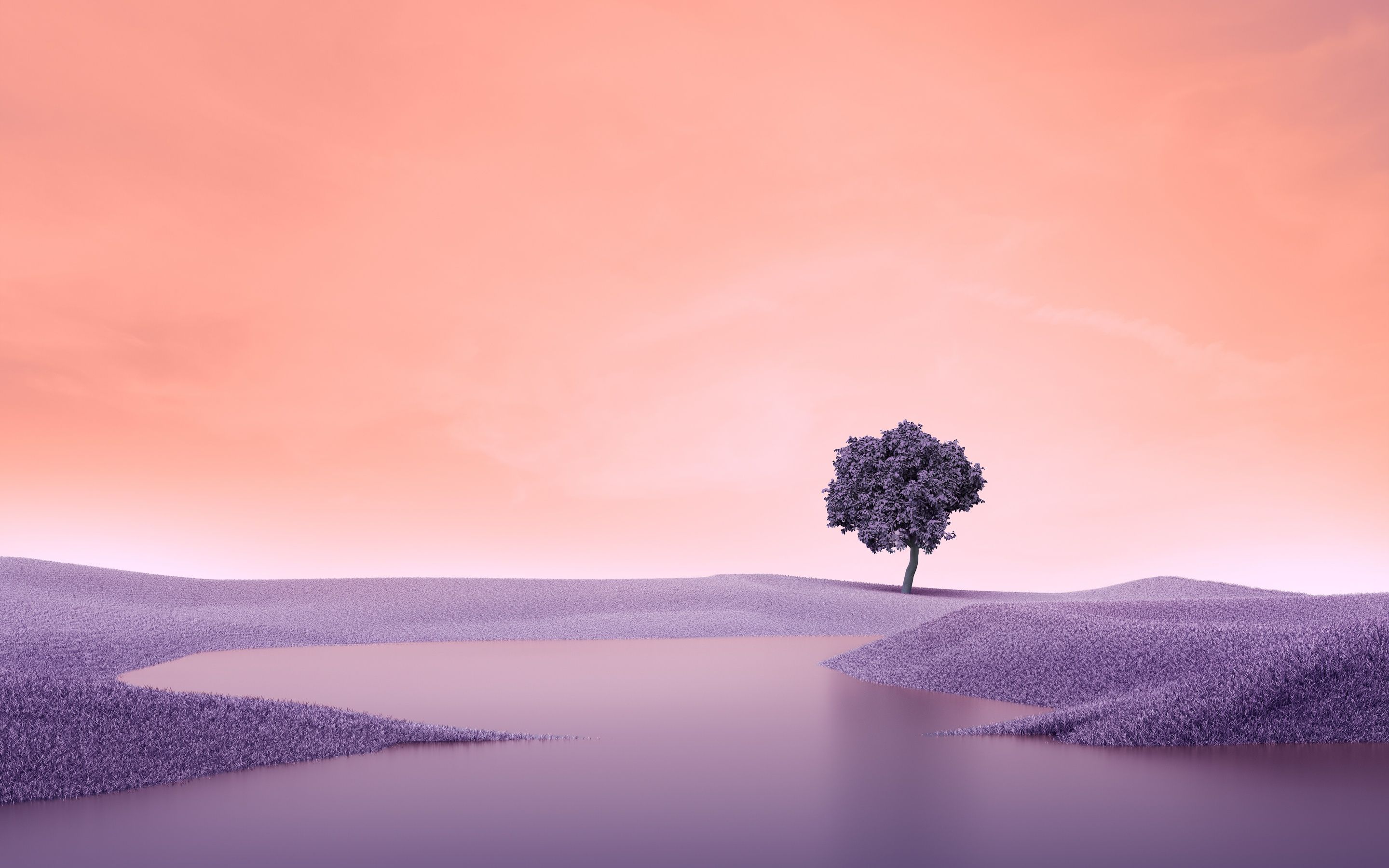 Lone tree Wallpaper 4K, Landscape, Spring, Lake, Surreal