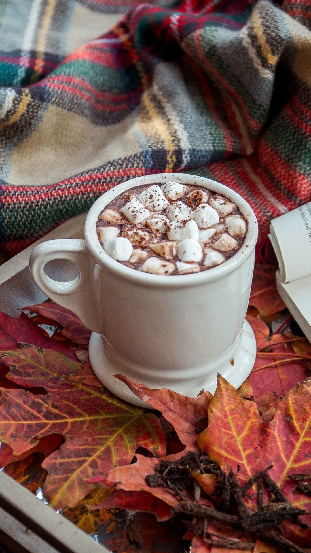 A mug of hot chocolate with marshmallows and cinnamon on a tray with a book and autumn leaves. - Marshmallows