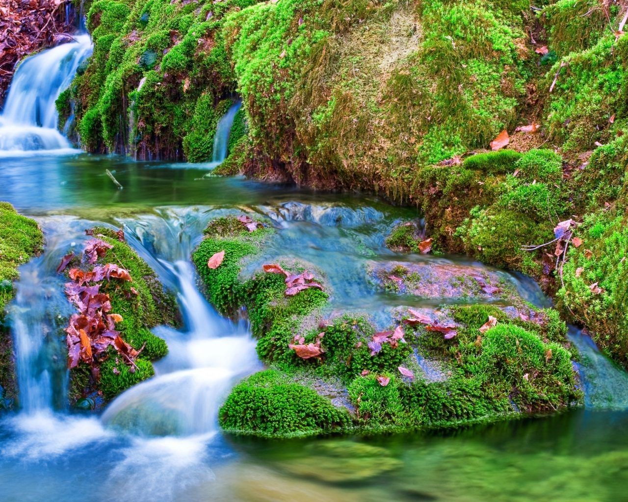 A small waterfall surrounded by mossy rocks - Waterfall