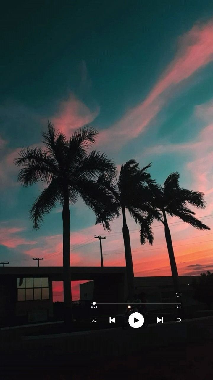 Palm trees in front of a sunset - Sunset