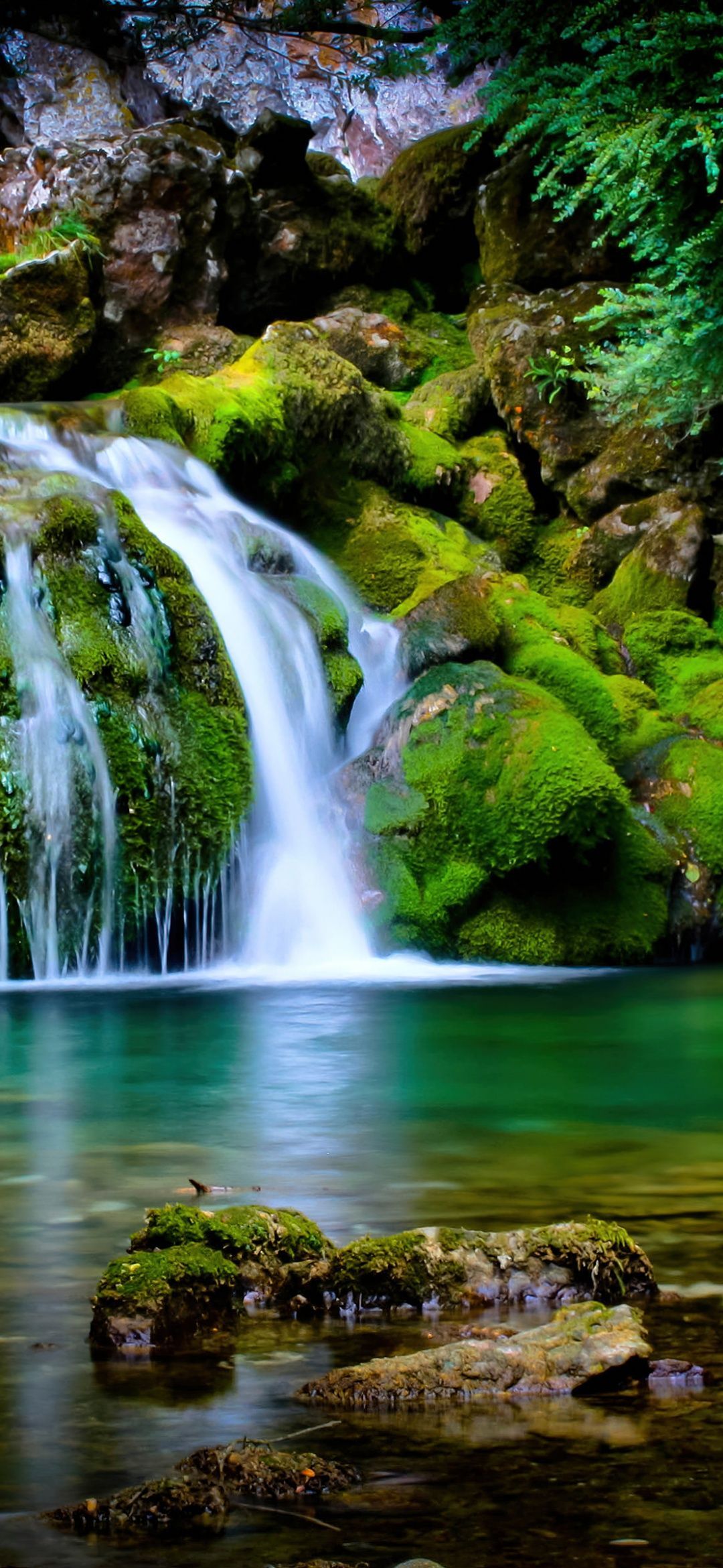 Tropical forest Wallpaper 4K, Waterfall, Green, Landscape