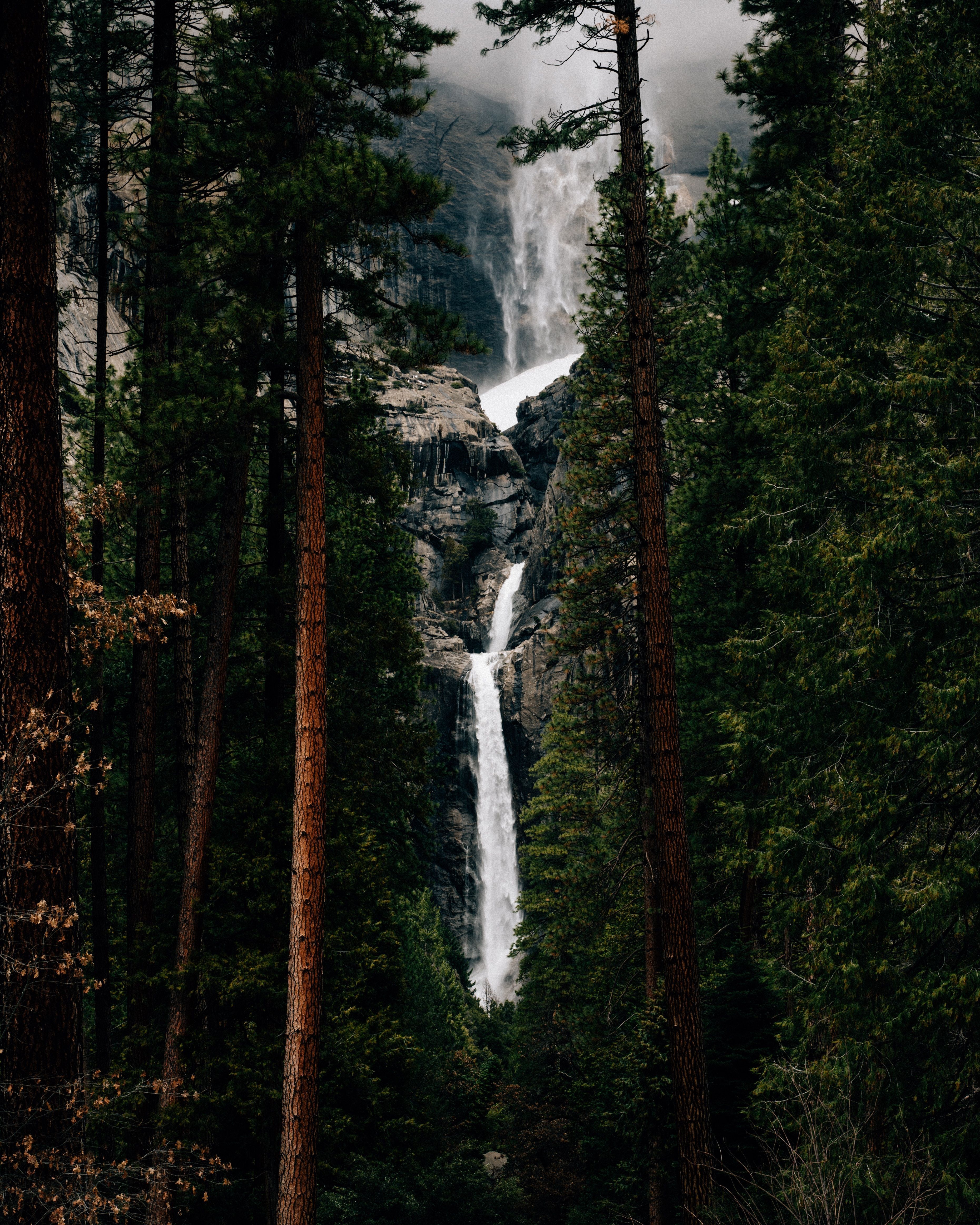 A waterfall is seen through the trees in the forest. - Waterfall