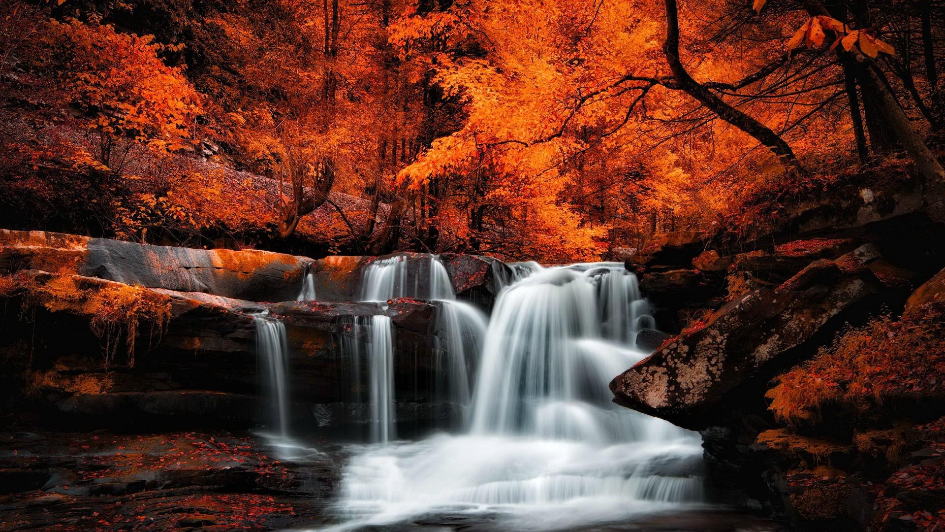 A waterfall in the forest with orange leaves. - Waterfall