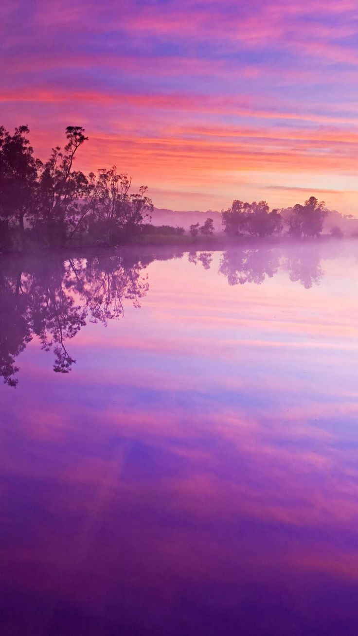 A beautiful purple and pink sunset over a calm lake - Lake