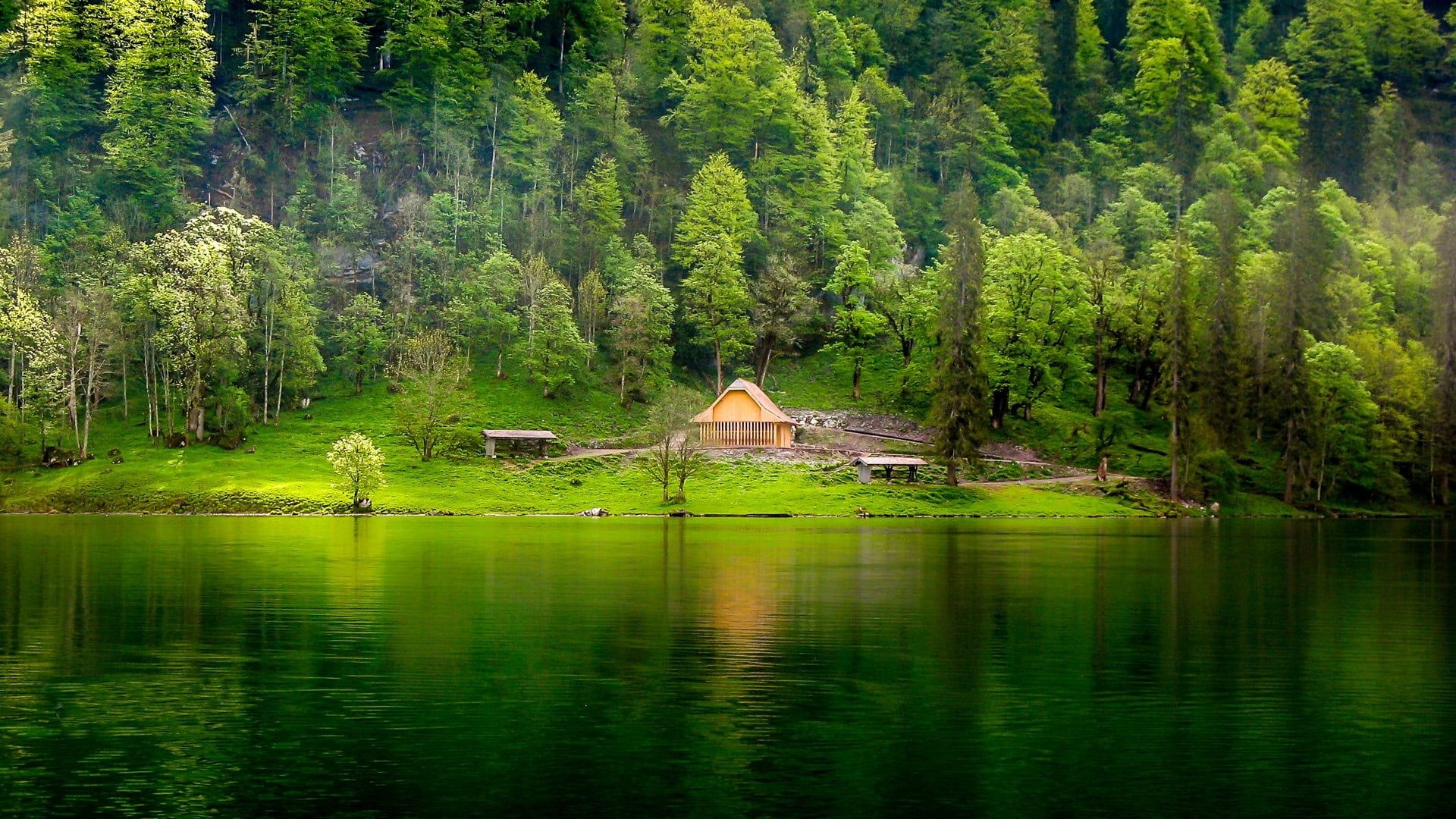 A house on a green island in the middle of a lake surrounded by trees. - Lake