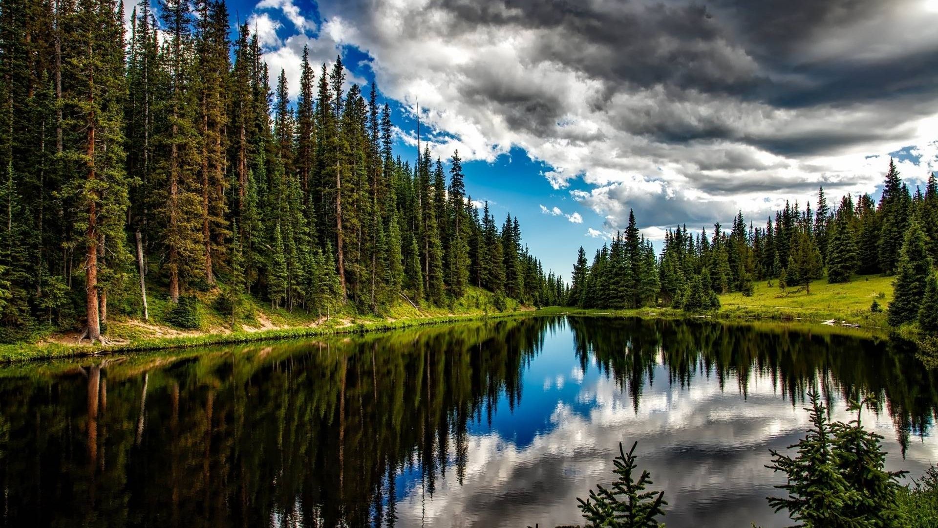 forest, cool, nature, fun, clouds, lake Gallery HD Wallpaper