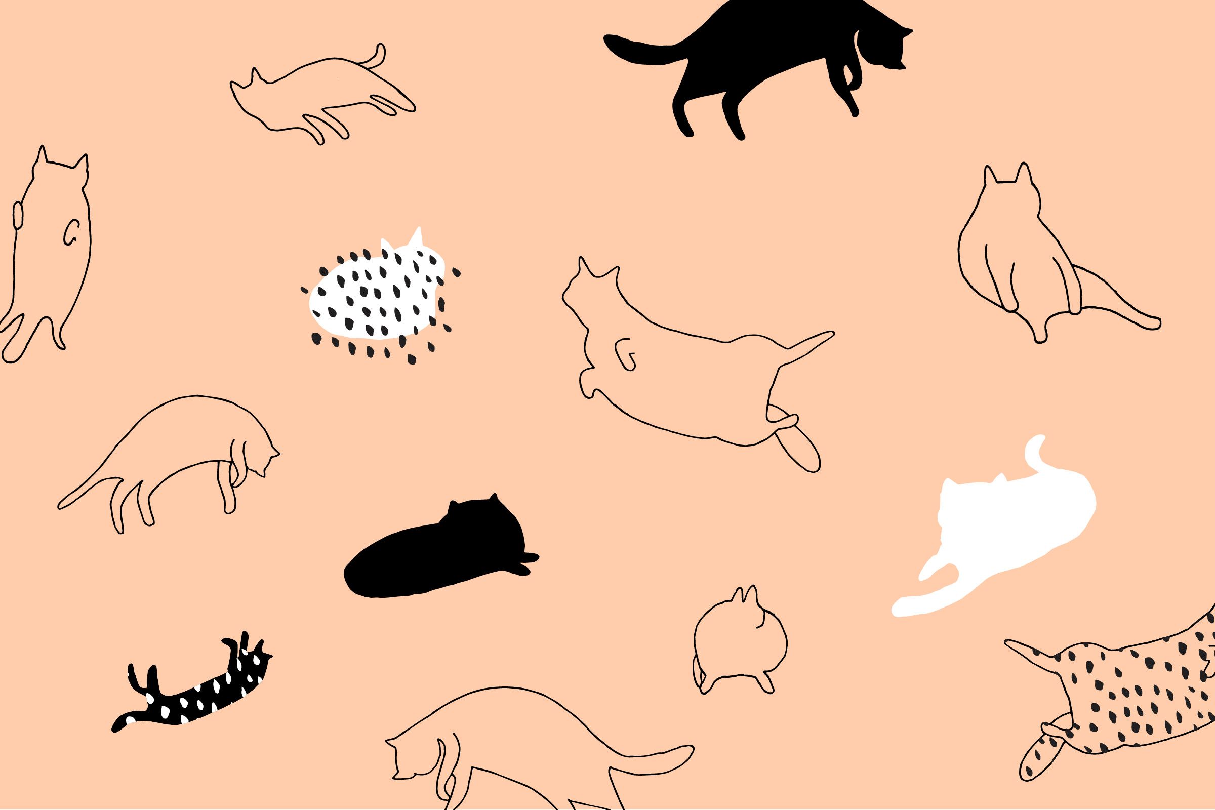 A cute pattern of cats in black and white on a salmon pink background - Pusheen