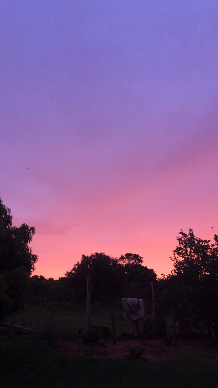A pink and purple sky at sunset over a lush green forest. - Sunset, sky