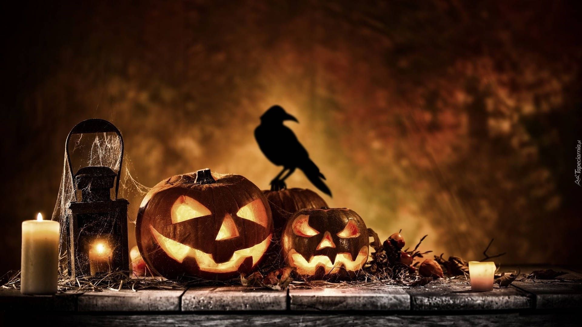 Download Raven On Pumpkin Halloween Aesthetic Wallpaper