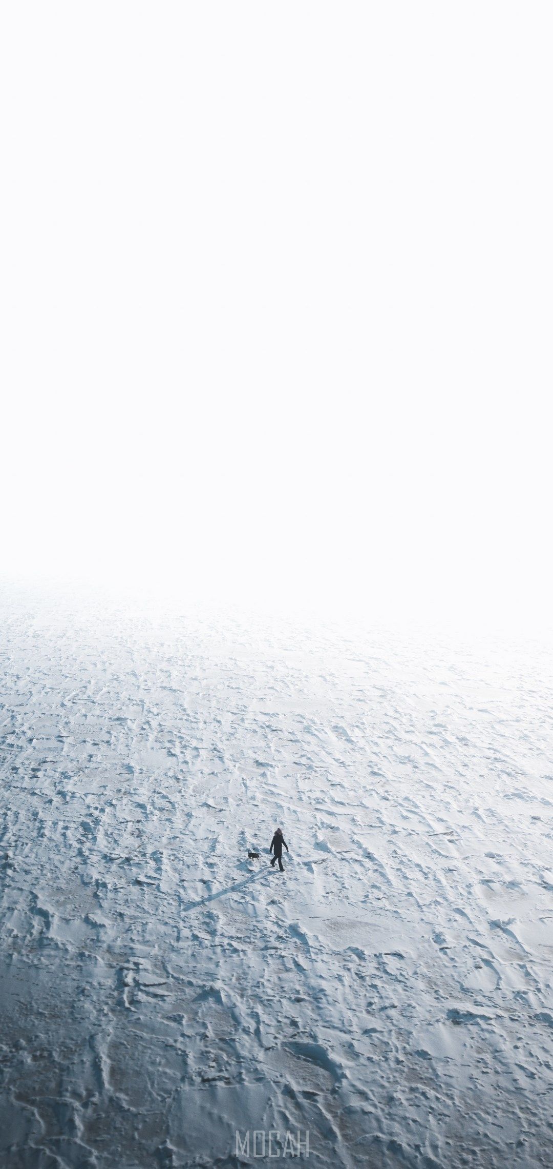 A person on a surfboard in the ocean - Ocean