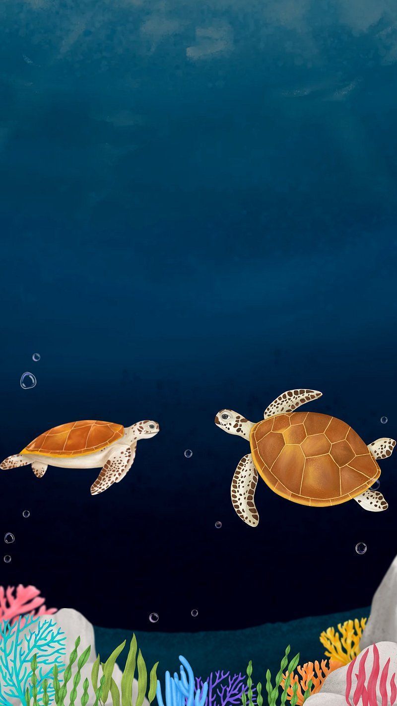 Turtle Wallpaper Image Wallpaper