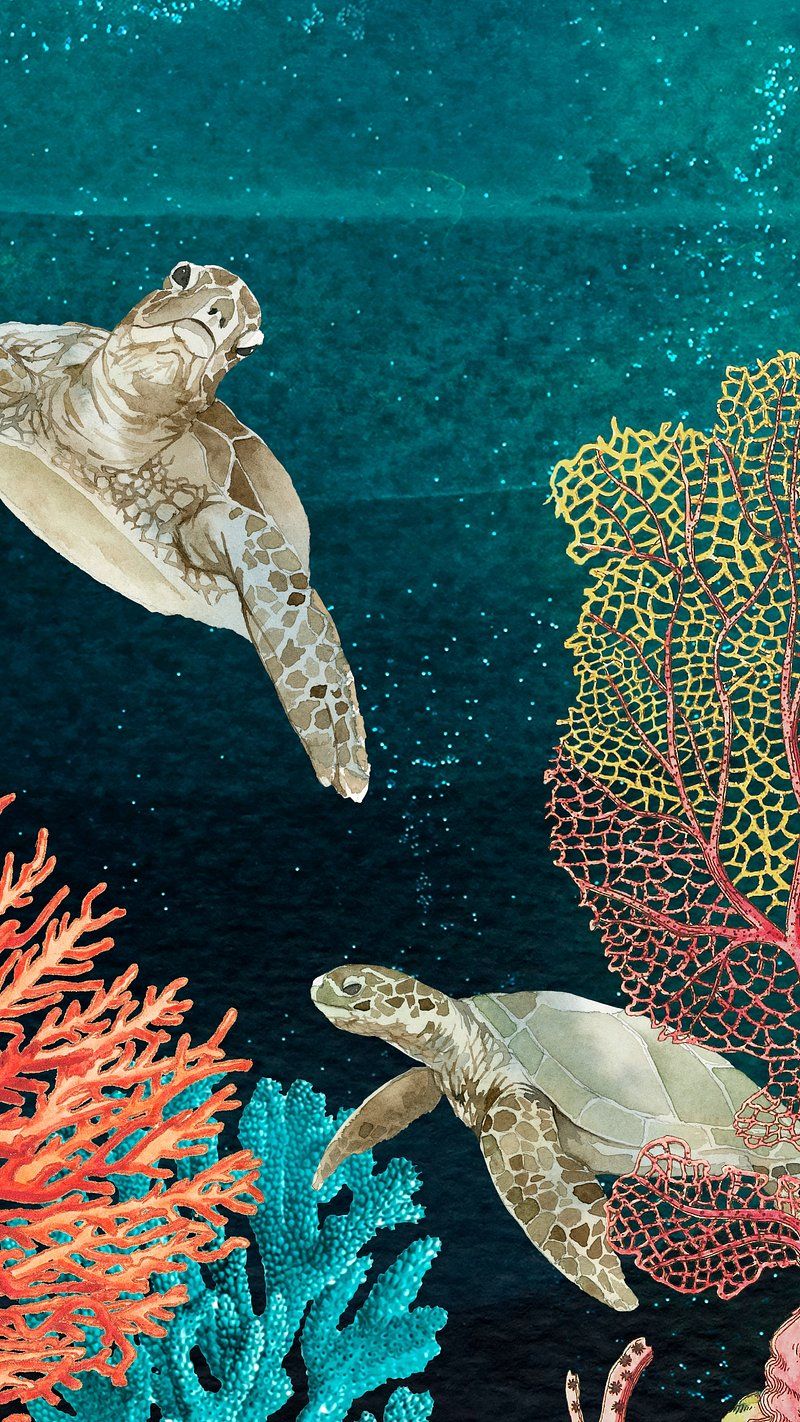 A pair of sea turtles swimming over a colorful coral reef. - Sea turtle