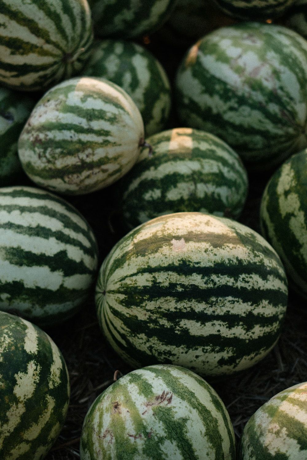 Watermelon and lime slices pattern. flat lay. summer concept. photo