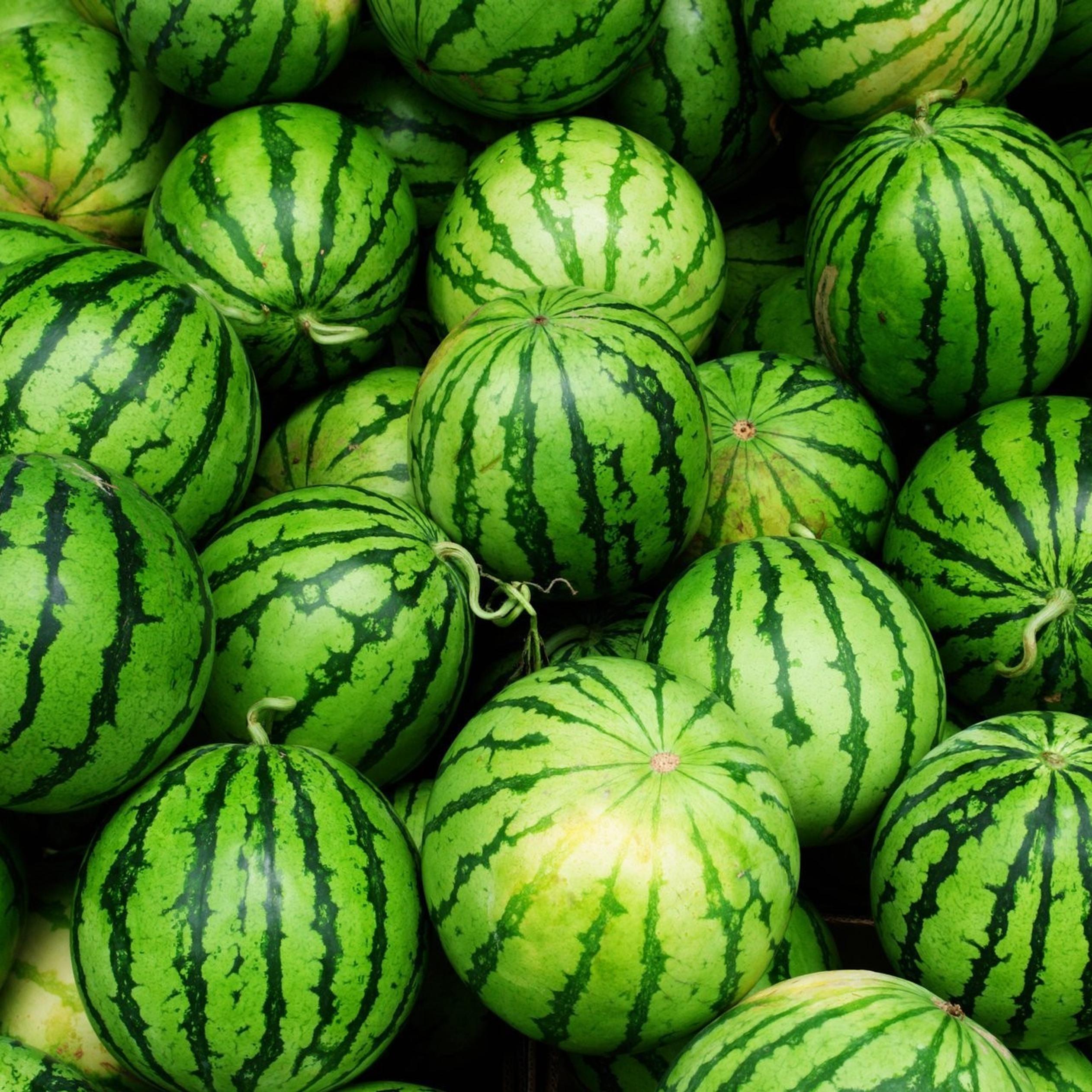 Green wallpaper of watermelons