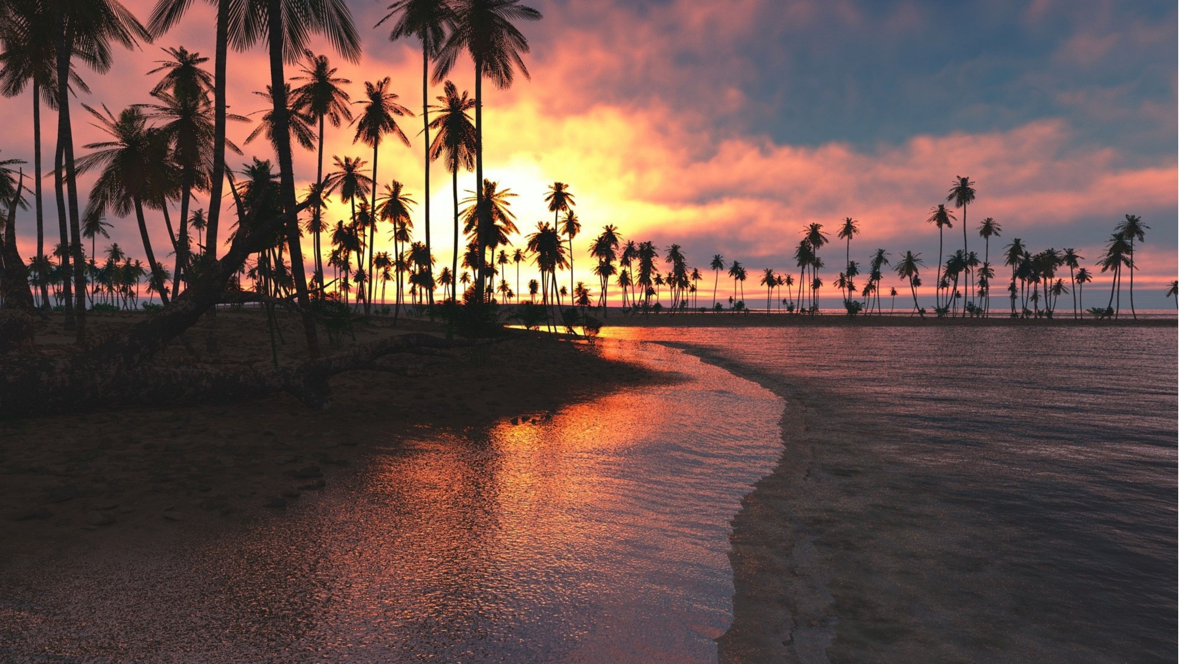 A beach with palm trees and a sunset in the background - Sunset