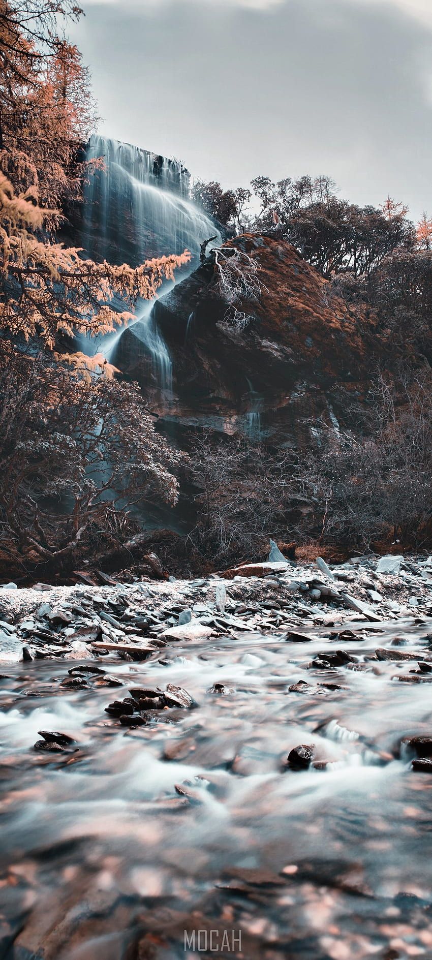 A waterfall surrounded by trees and rocks - River