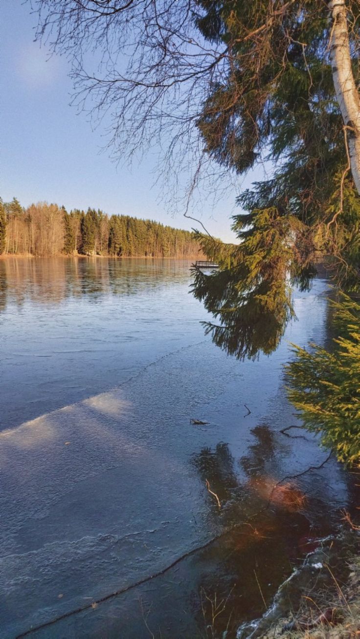 A river with ice on the water - River