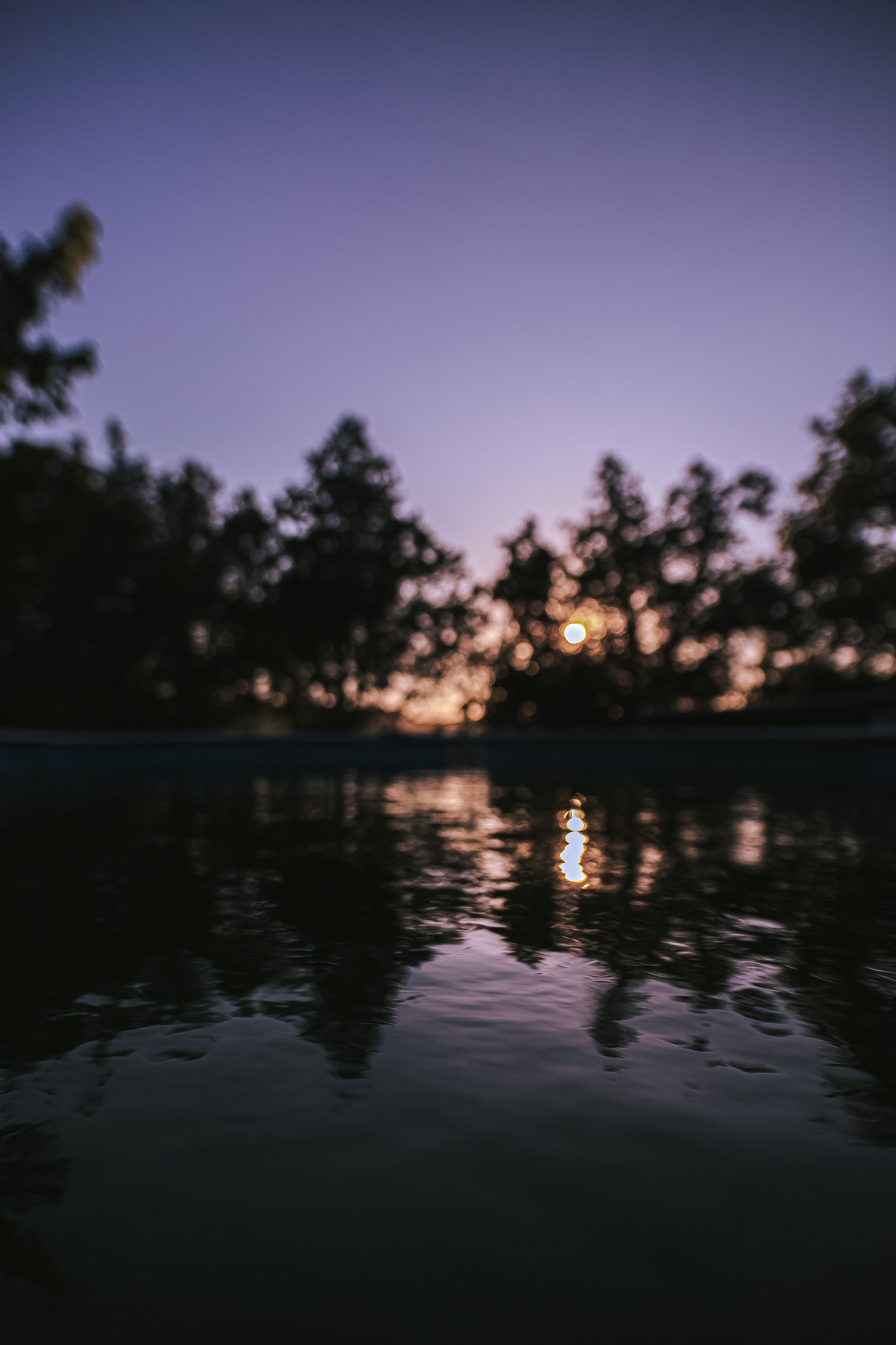 A sunset over a lake with trees in the background. - River