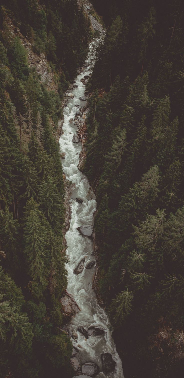 A river flowing through the forest - River