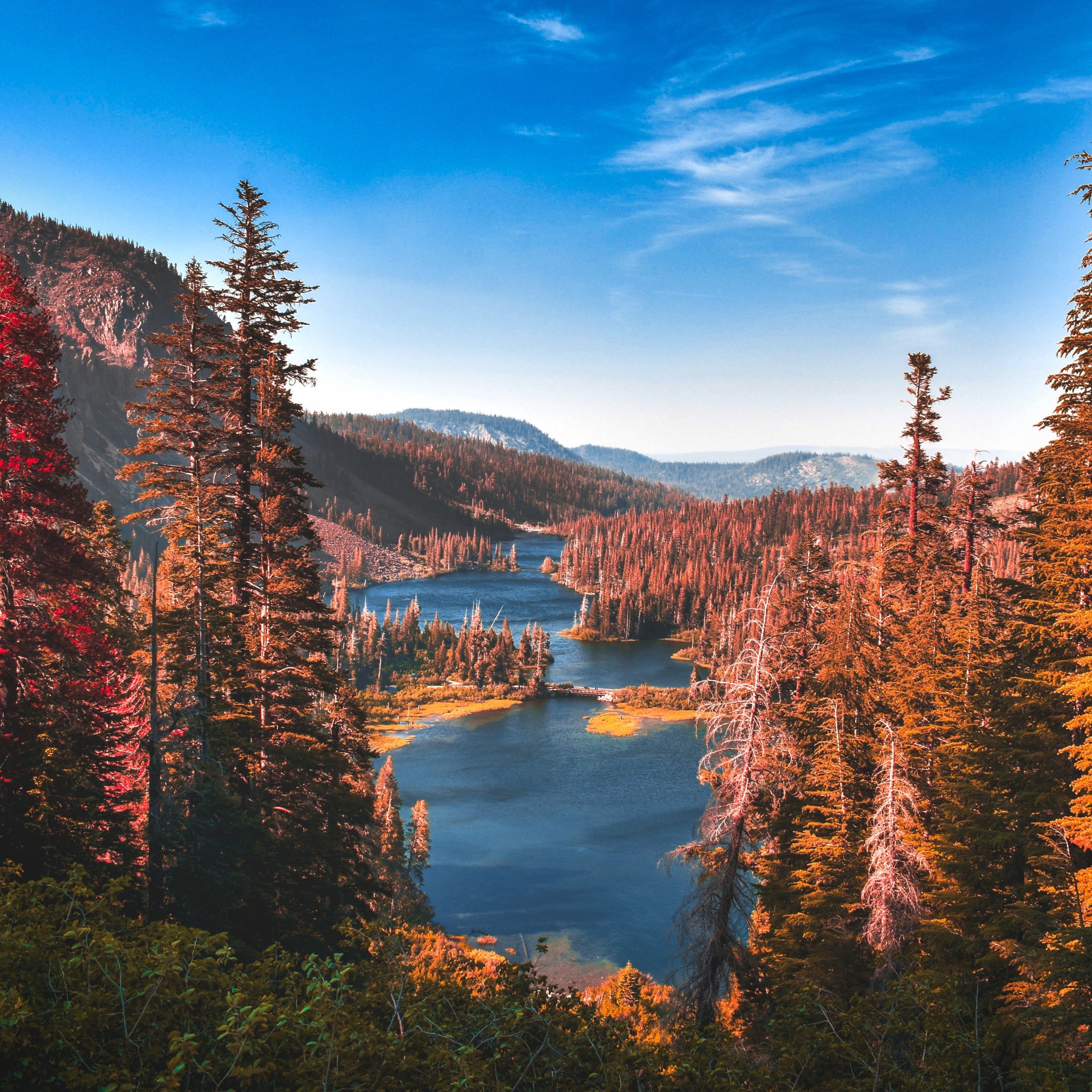 Yosemite National Park Wallpaper 4K, River, Forest, Autumn